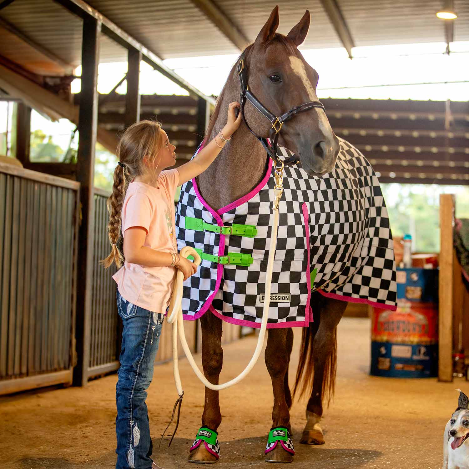 Expression 1200 Denier Standard Neck Horse Turnout Sheet, 0 Gram