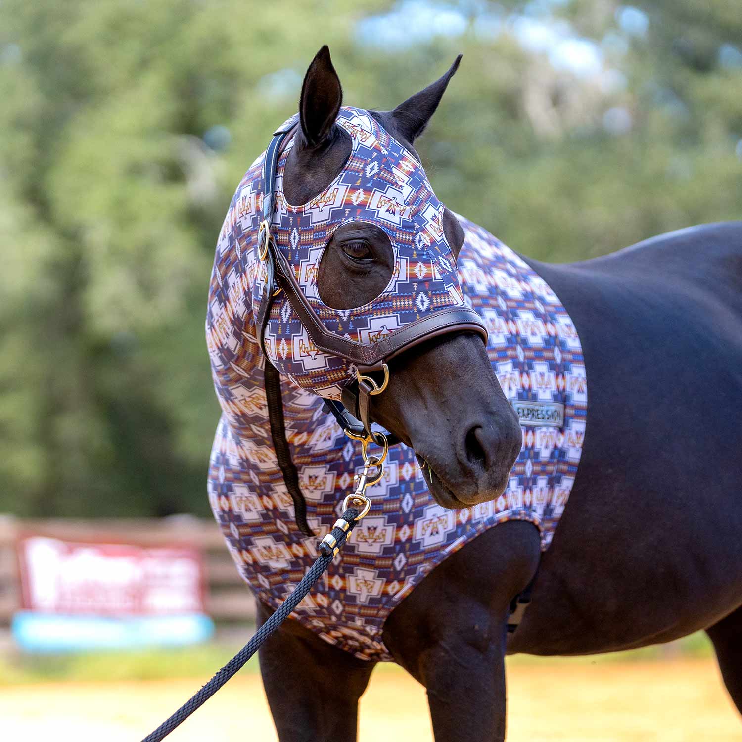 Expression Lycra Hood for Horses
