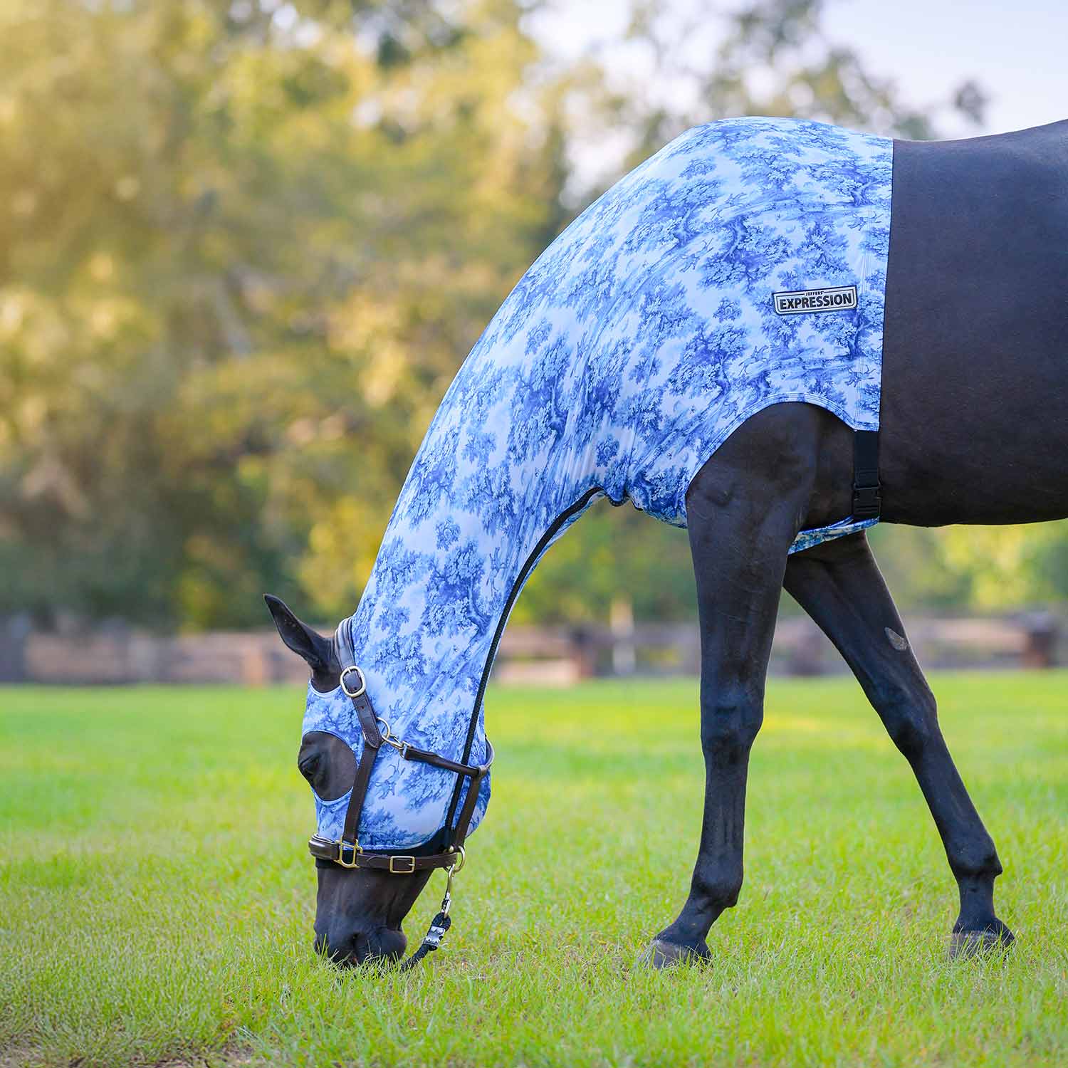 Expression Lycra Hood for Horses