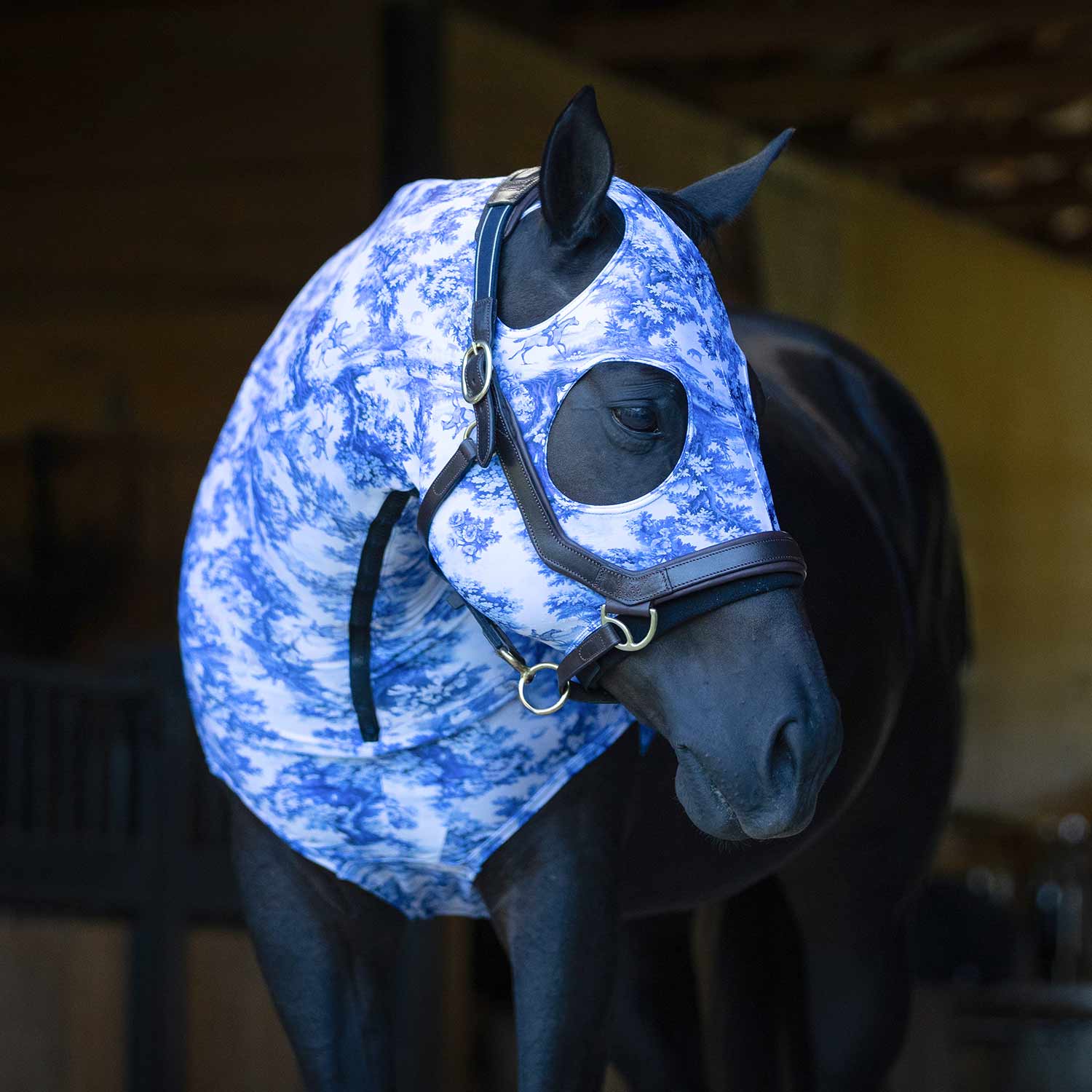 Expression Lycra Hood for Horses