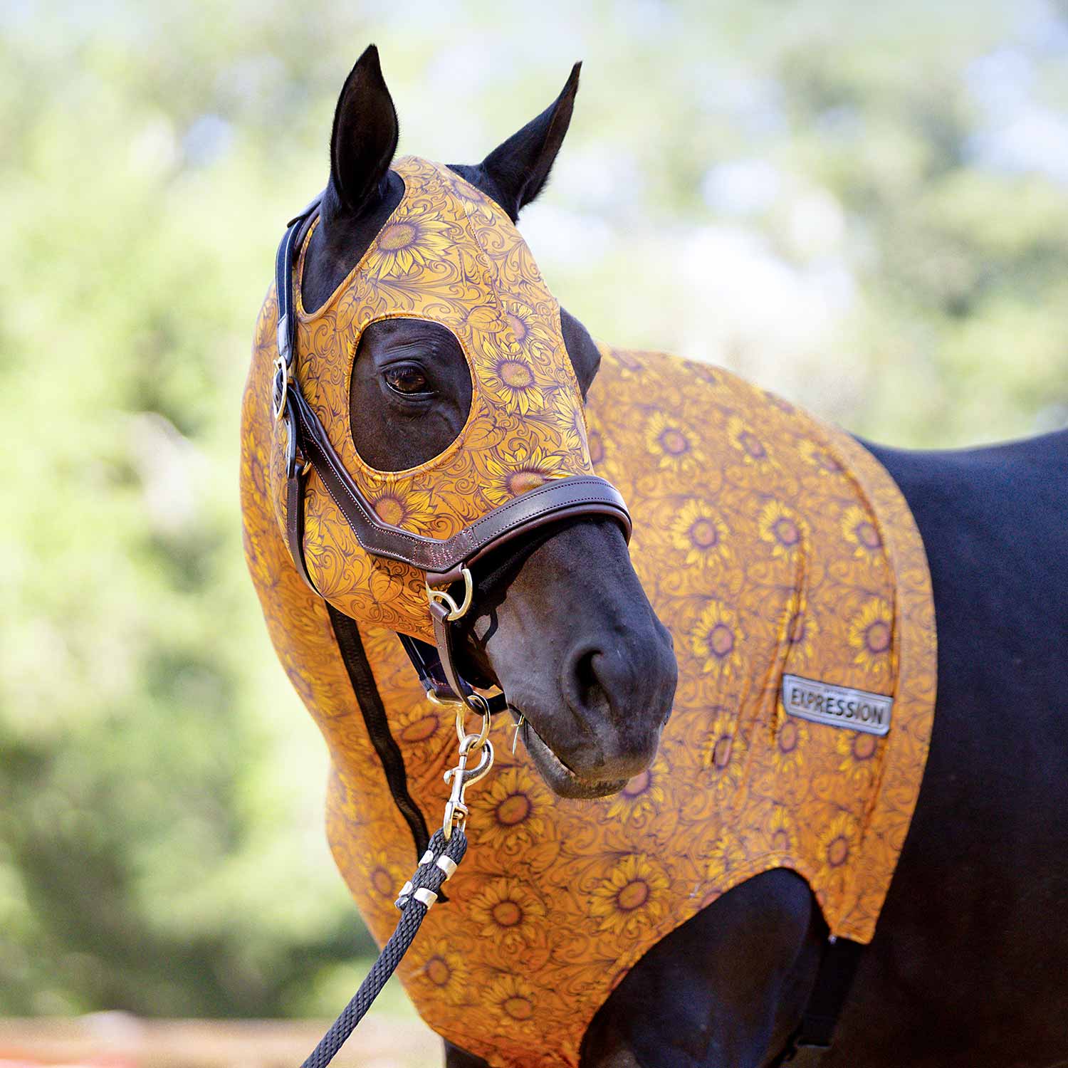 Expression Lycra Hood for Horses