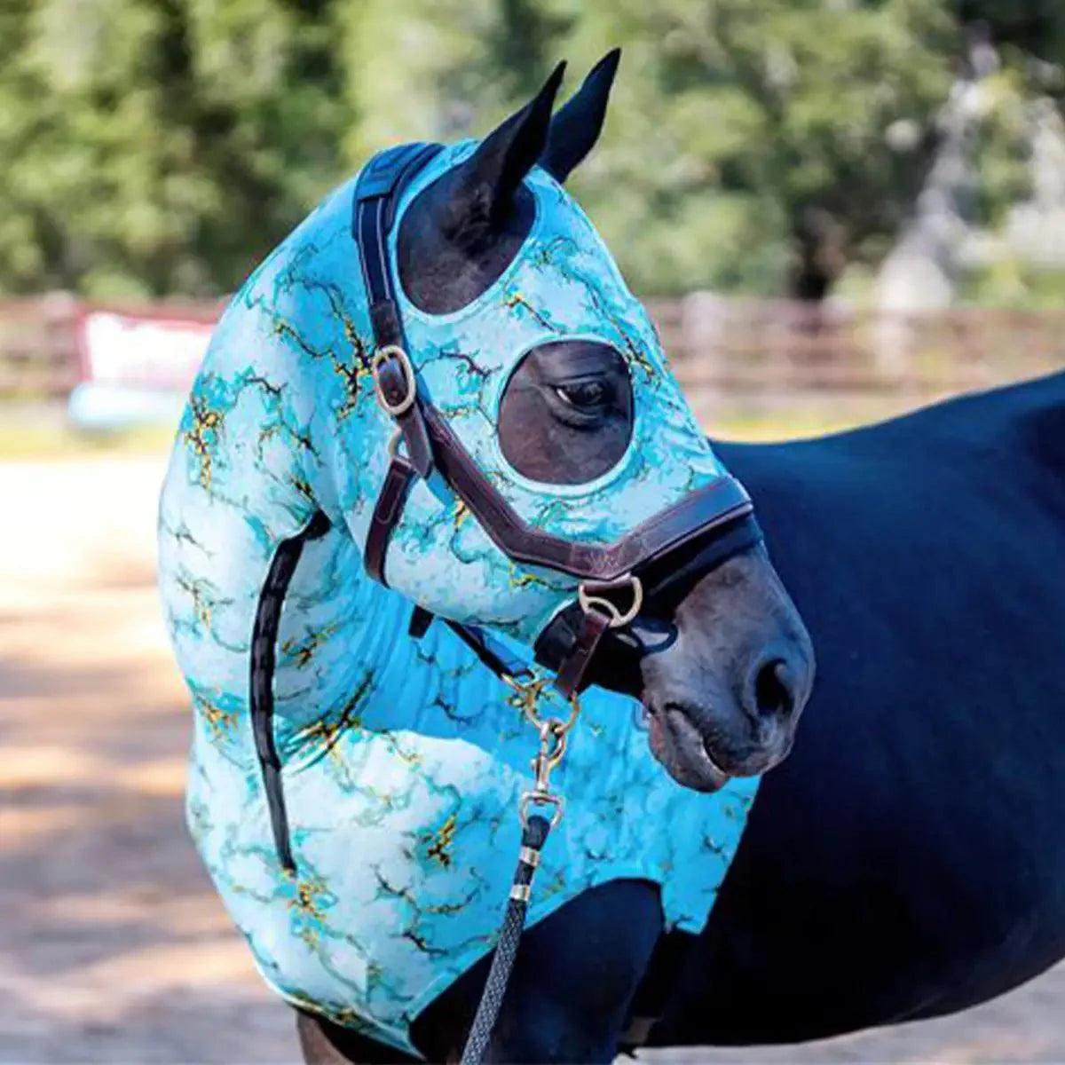 Expression Lycra Hood for Horses