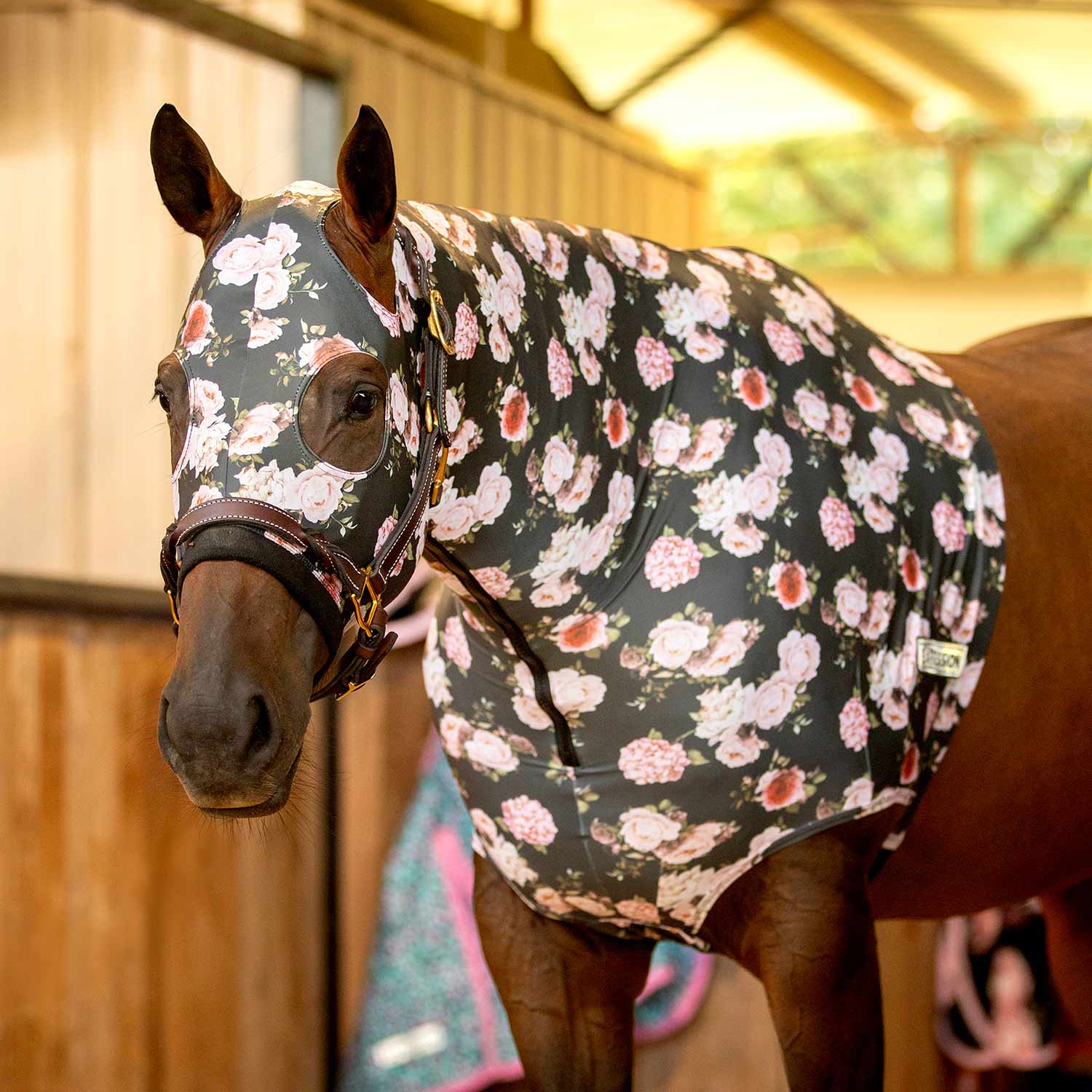 Expression Lycra Hood for Horses
