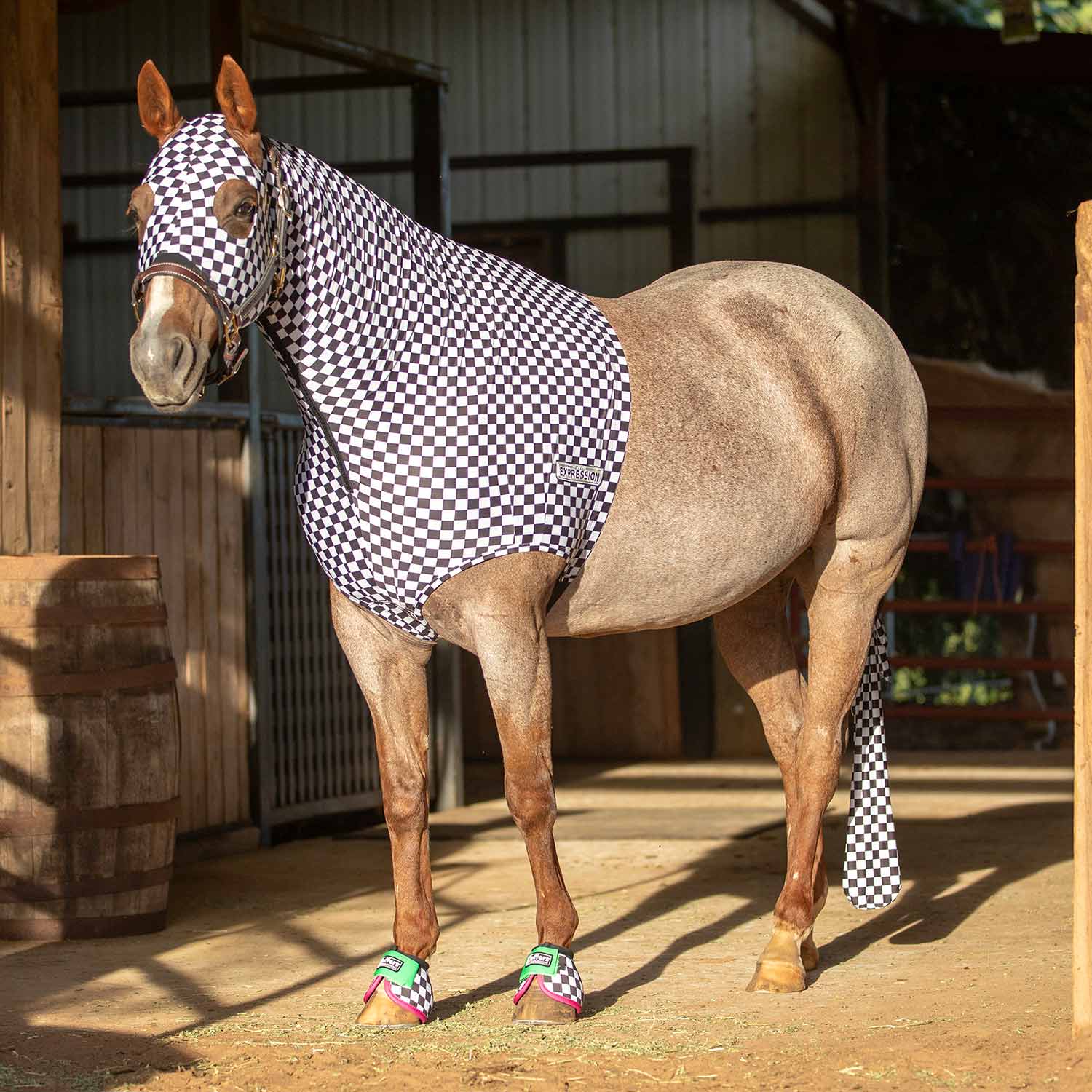 Expression Lycra Hood for Horses