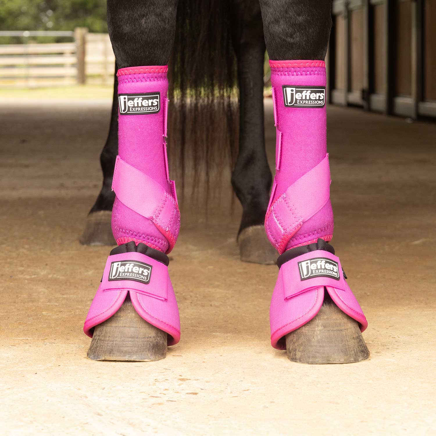 Expression Neon Protective Boots for Horses