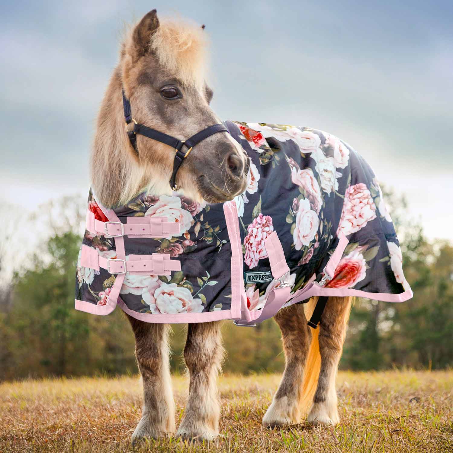 Expression Pony 1200 Denier Medium Weight Standard Neck Turnout Blanket, 240g Fill