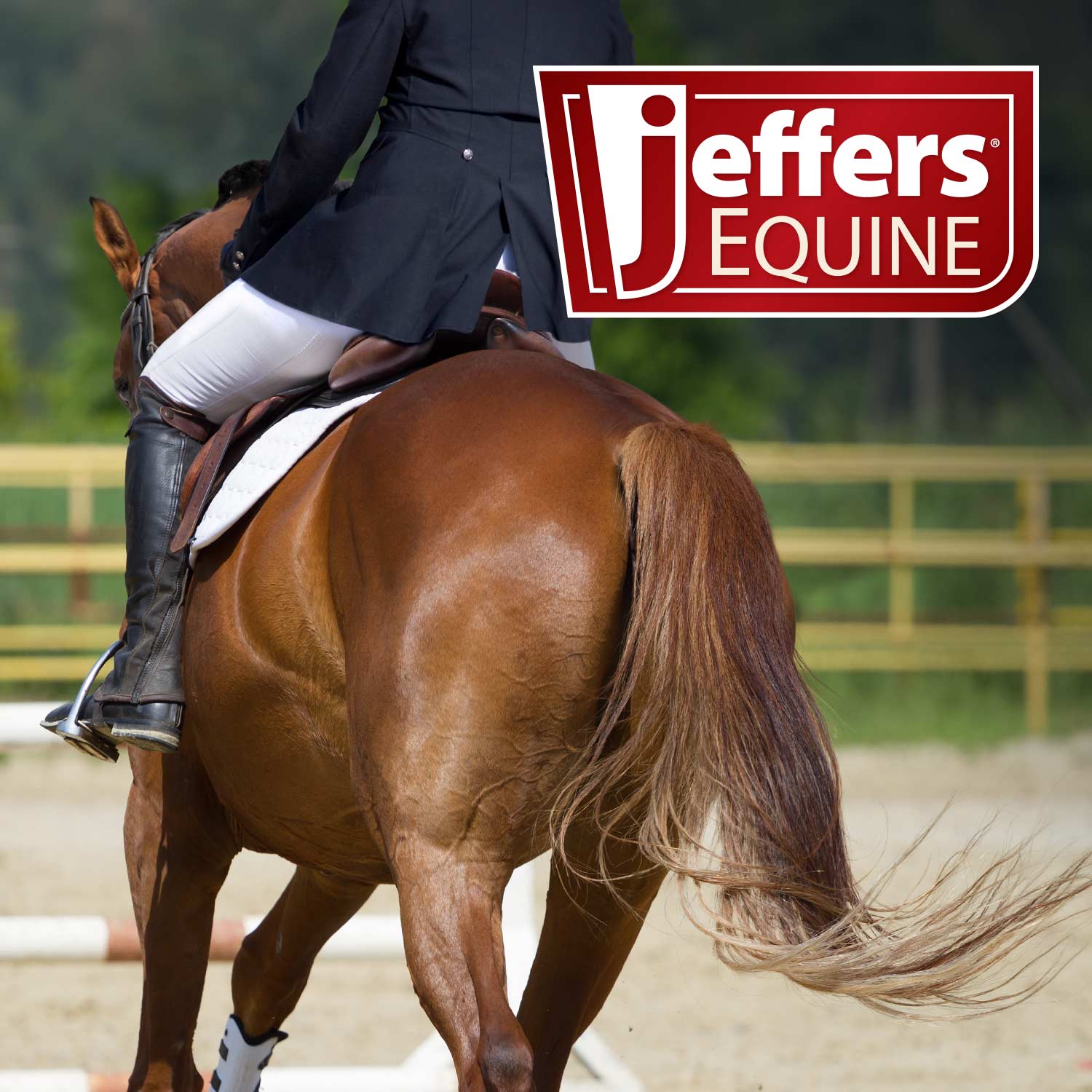 Expression Softmesh Combo Neck Horse Fly Sheet