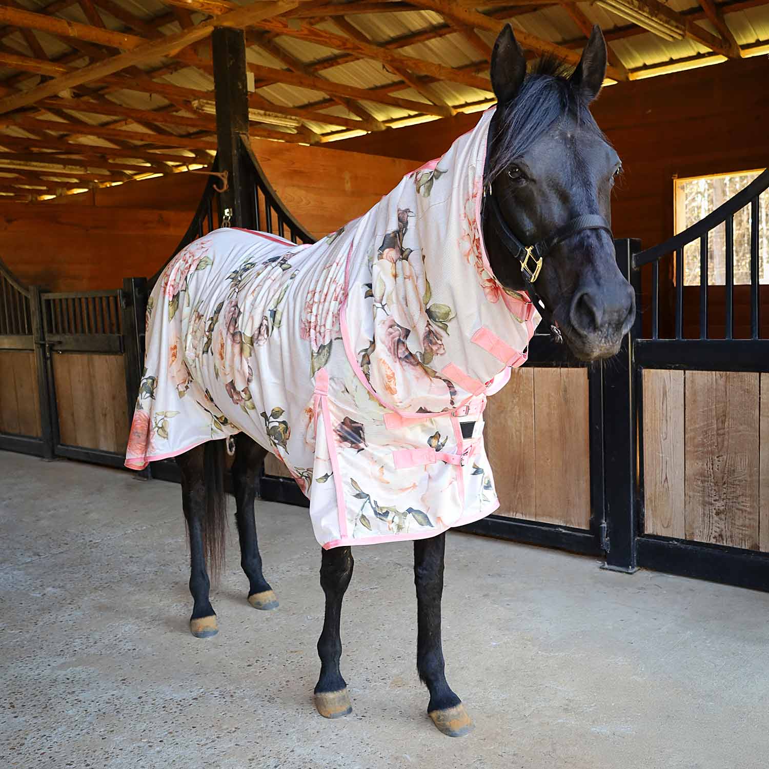 Expression Softmesh Combo Neck Horse Fly Sheet
