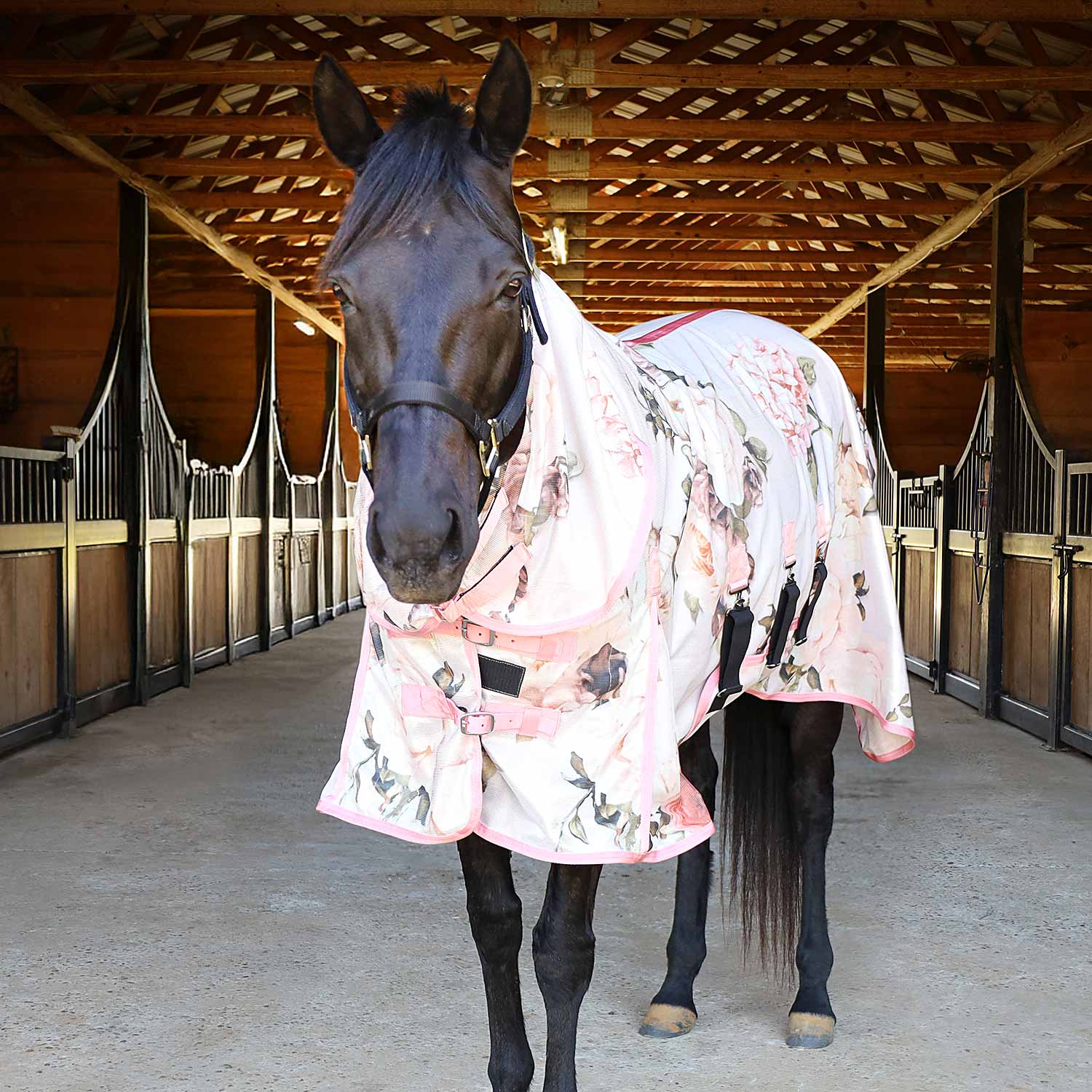 Expression Softmesh Combo Neck Horse Fly Sheet