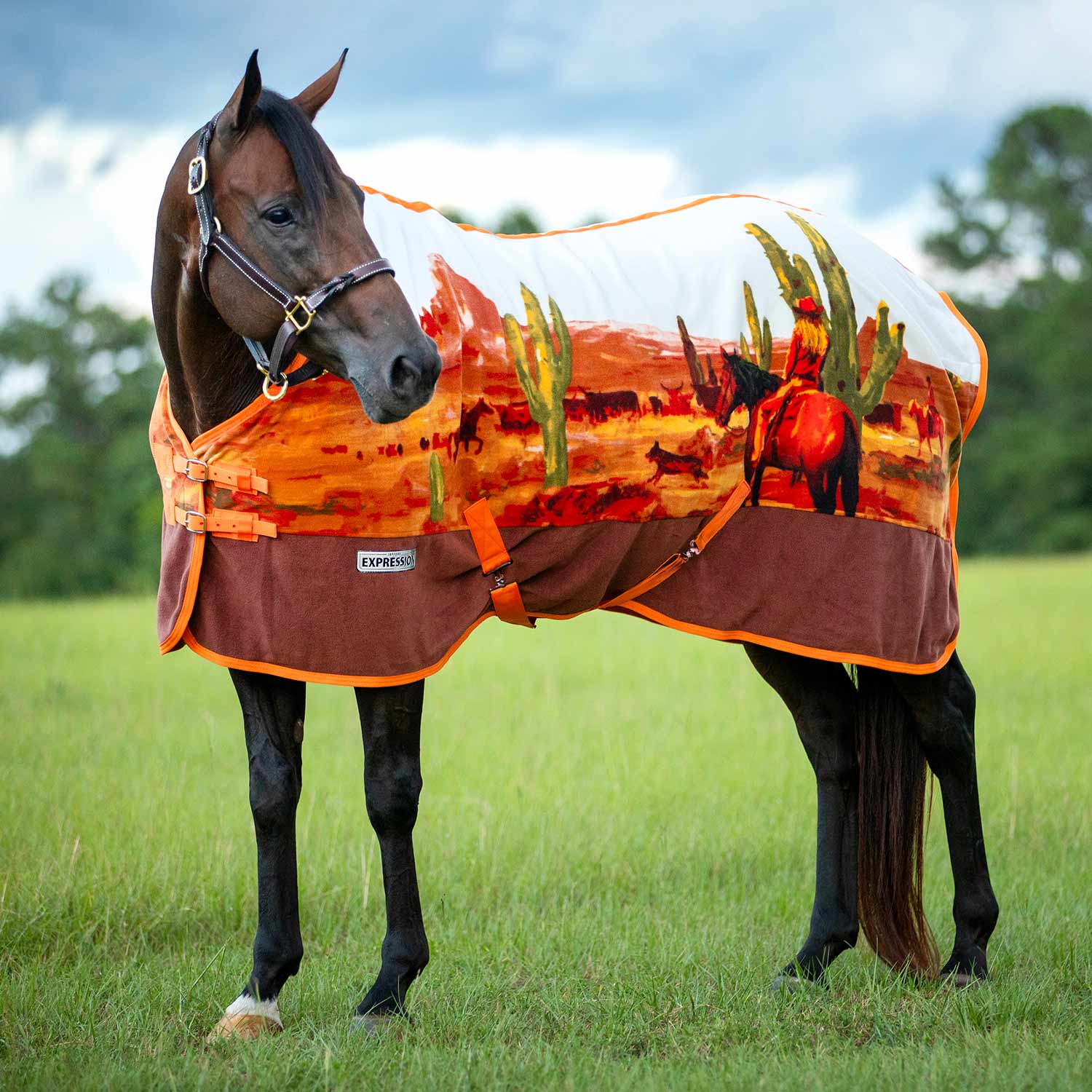 Expression Standard Neck Fleece Horse Cooler