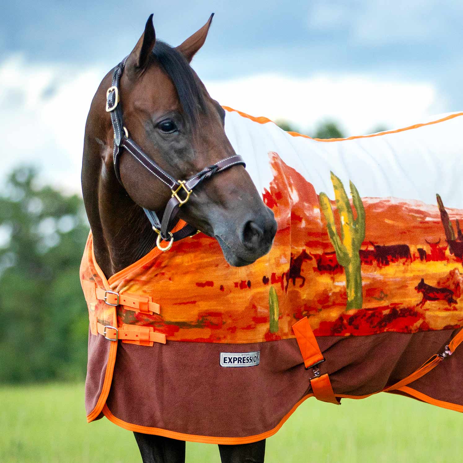 Expression Standard Neck Fleece Horse Cooler