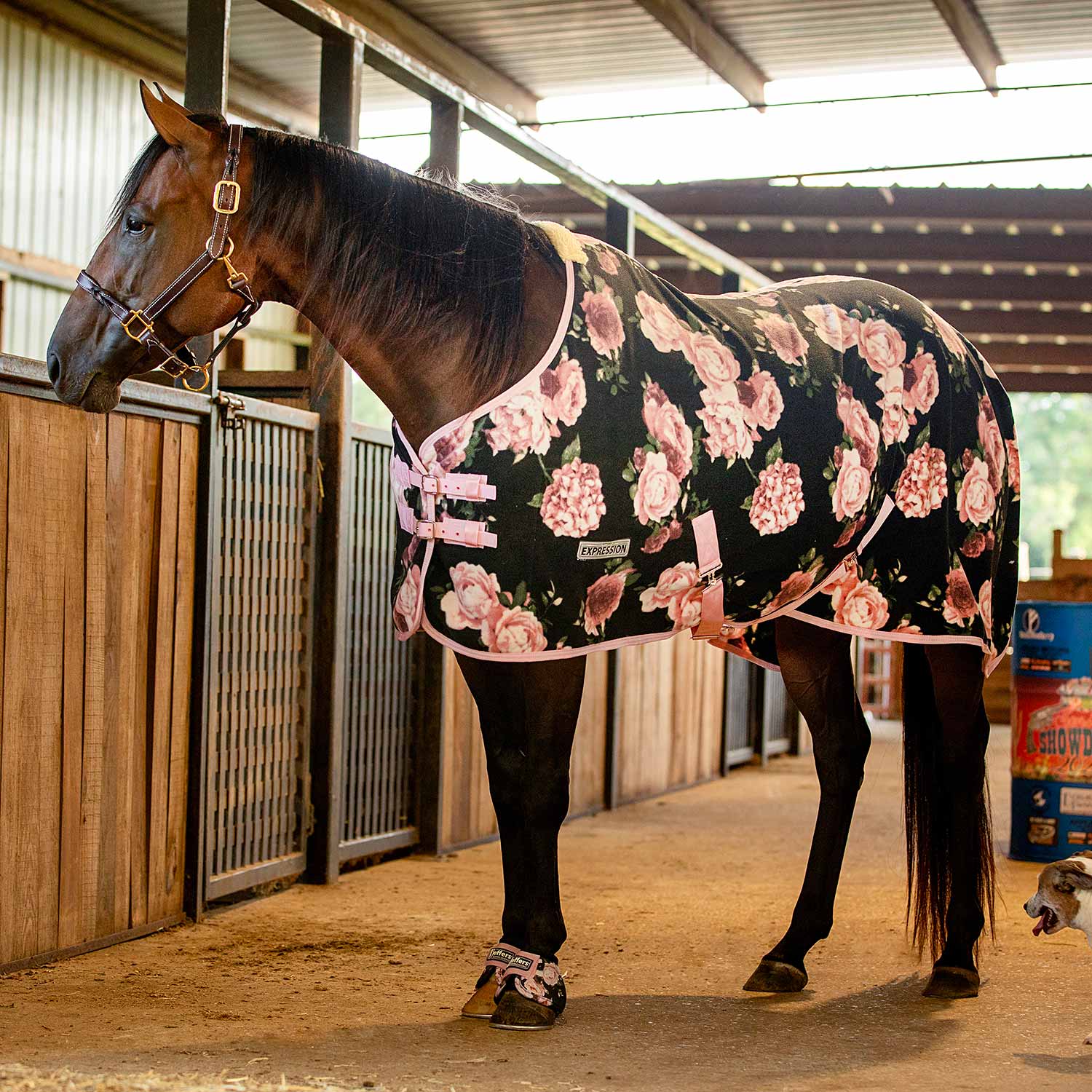 Expression Standard Neck Fleece Horse Cooler