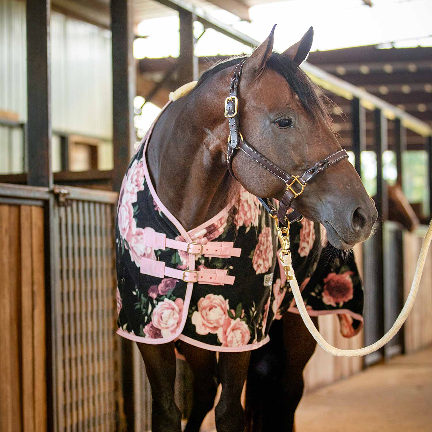Expression Standard Neck Fleece Horse Cooler