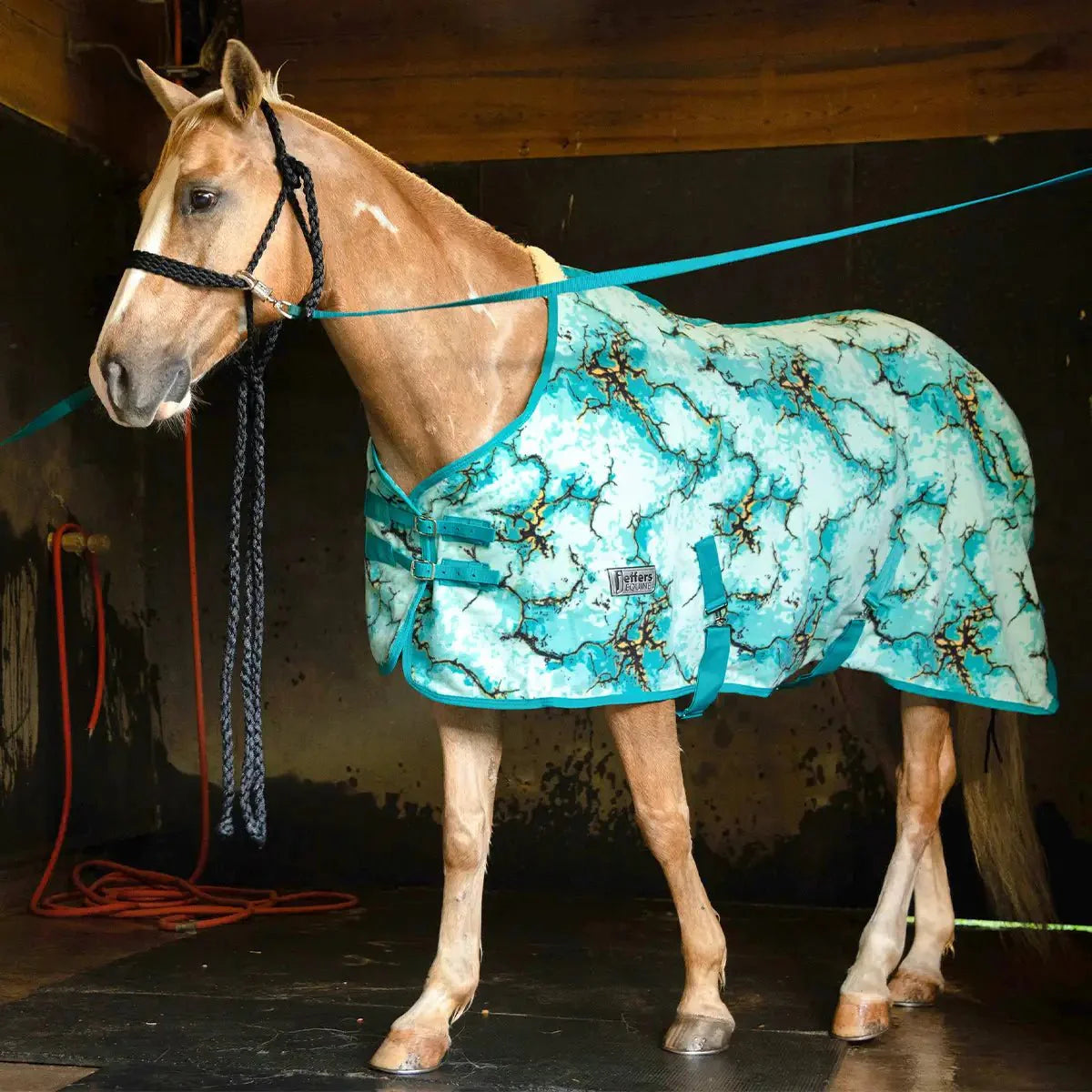 Expression Standard Neck Fleece Horse Cooler