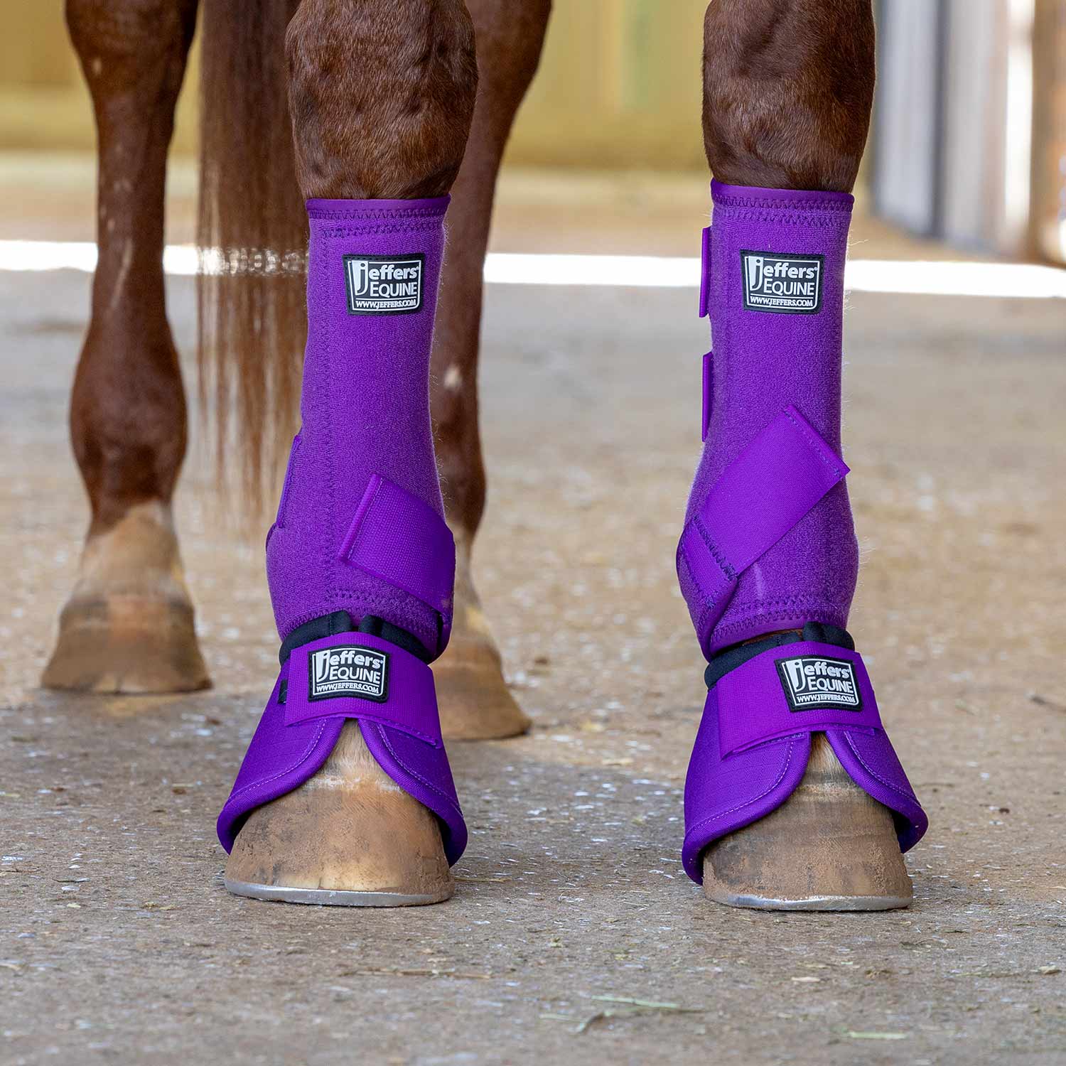 Protective Horse Boots, Solid Colors
