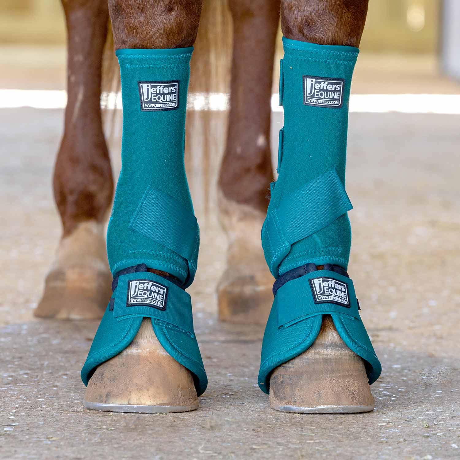 Protective Horse Boots, Solid Colors