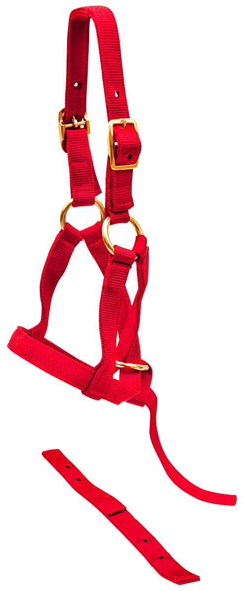 Nylon "Grow With Me" Weanling Horse Halter