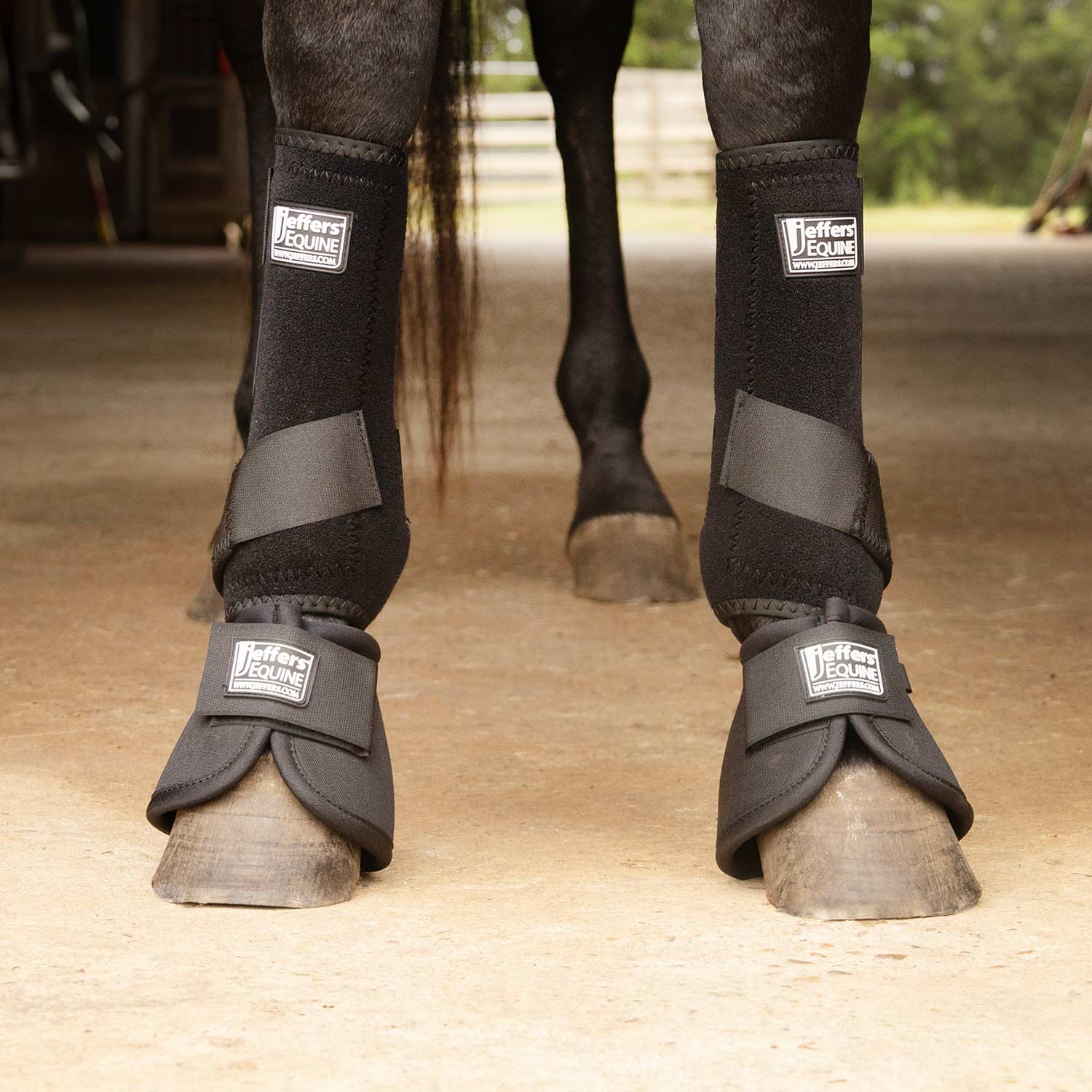 Protective Horse Boots, Solid Colors
