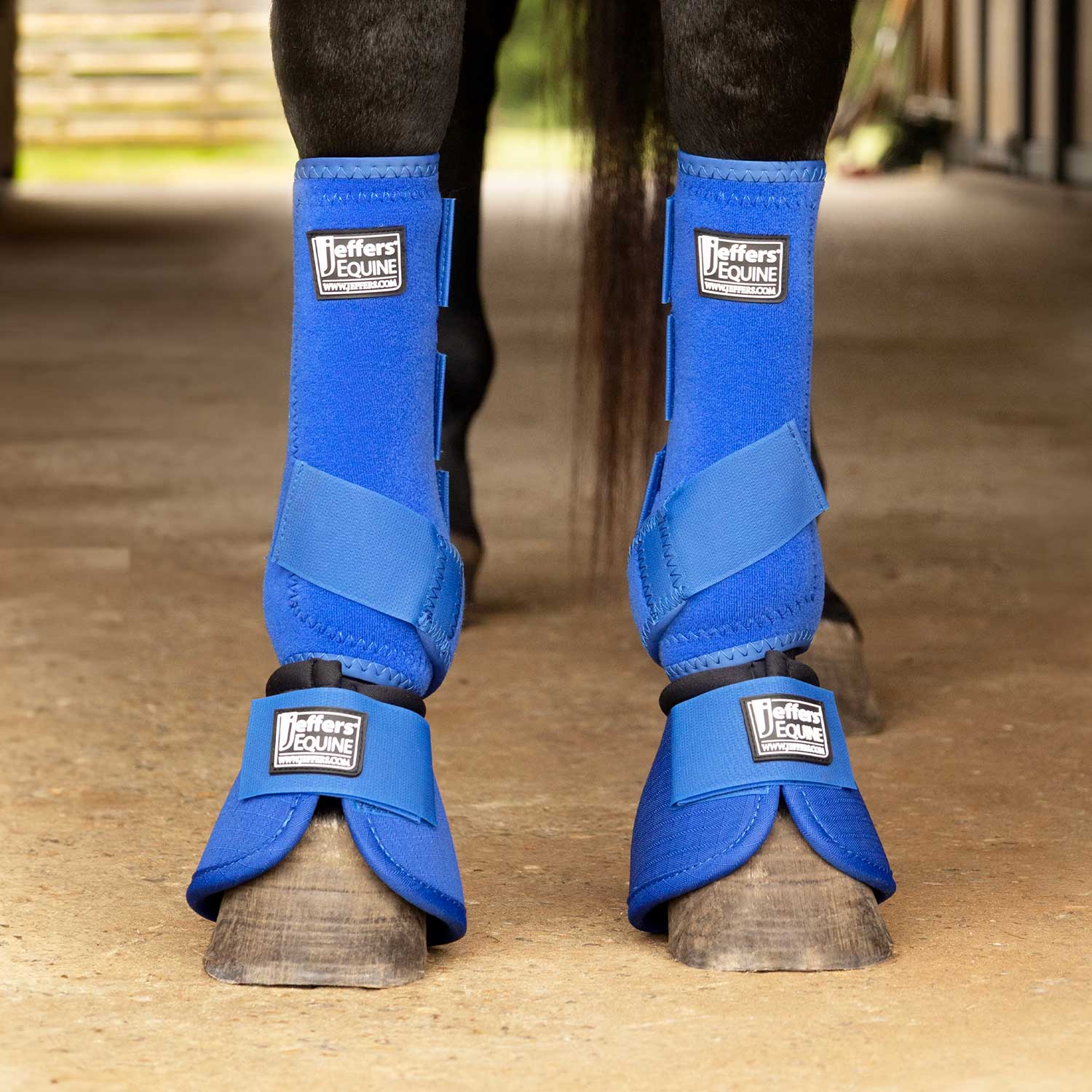 Protective Horse Boots, Solid Colors