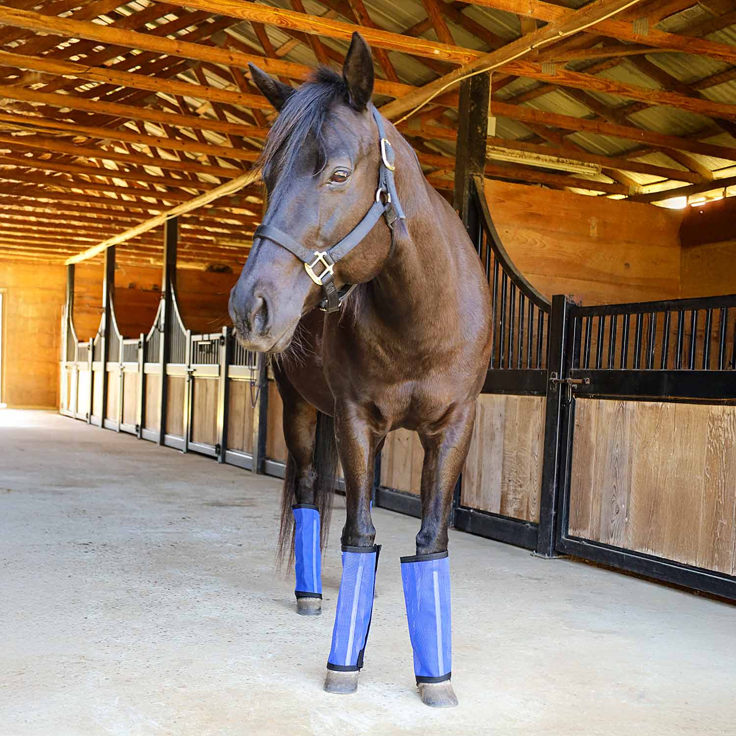 Romper Stomper "Stomp-Free" Fly Boots for Horses, 4 pack