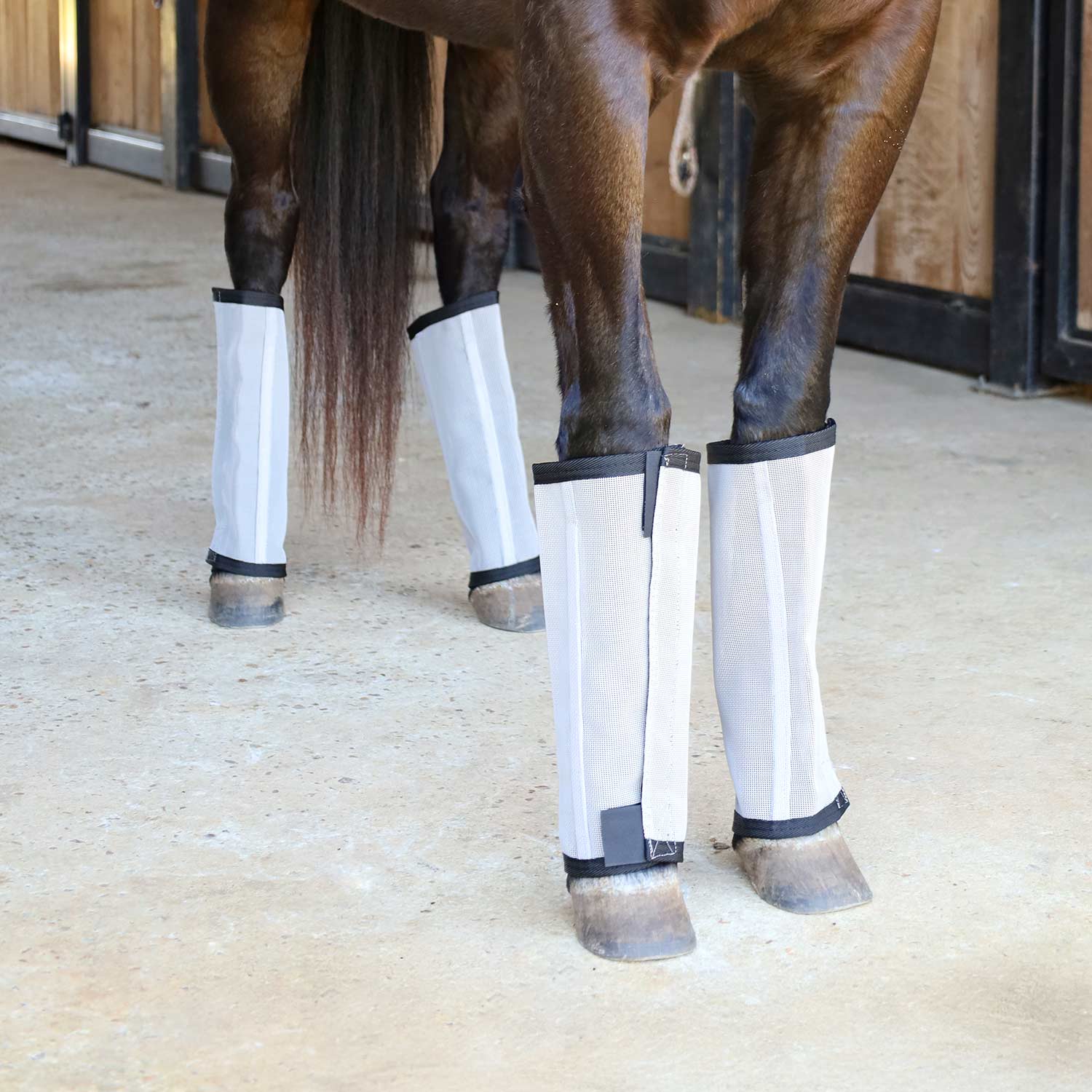 Romper Stomper "Stomp-Free" Fly Boots for Horses, 4 pack