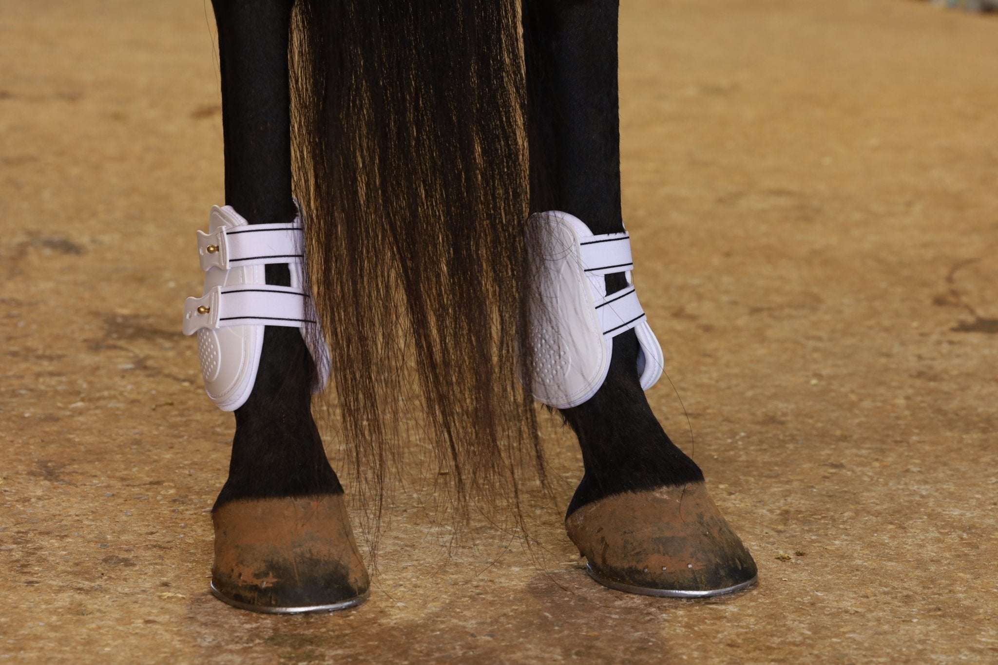 Uniquely English Fetlock Boots for Horses, 2-Pack