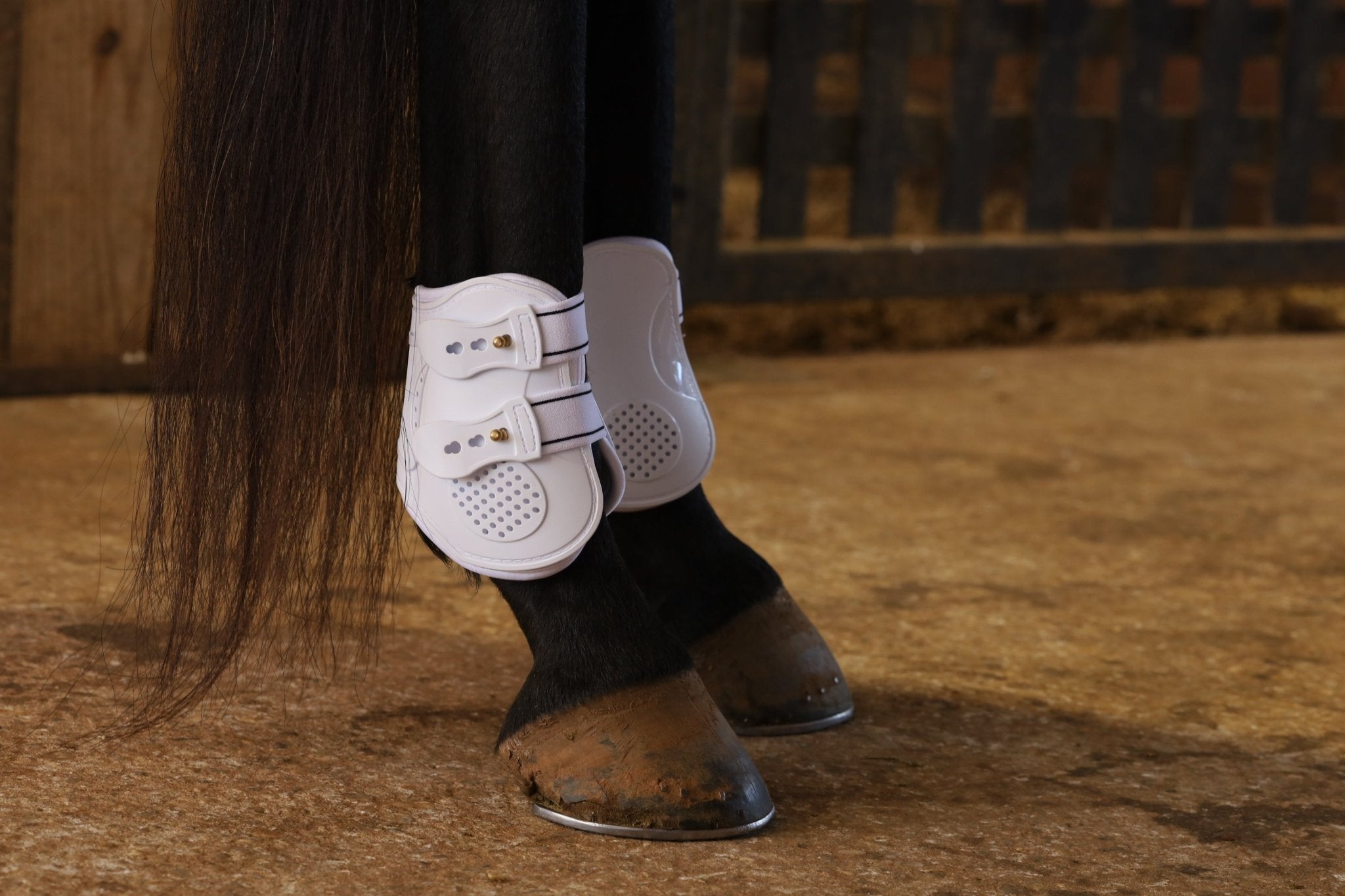 Uniquely English Fetlock Boots for Horses, 2-Pack