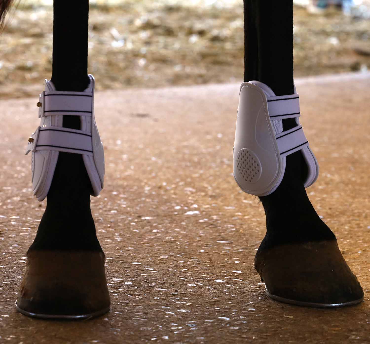 Uniquely English Fetlock Boots for Horses, 2-Pack