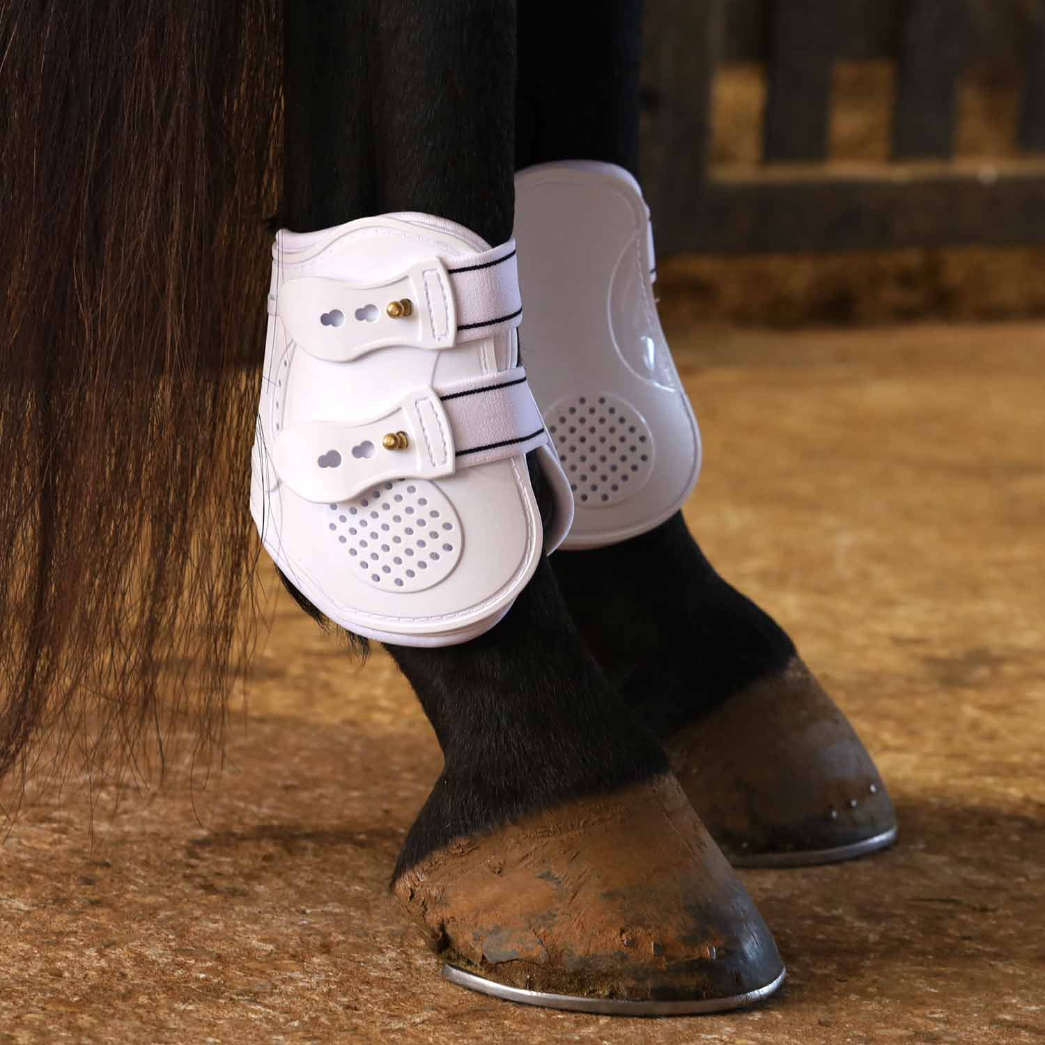 Uniquely English Fetlock Boots for Horses, 2-Pack