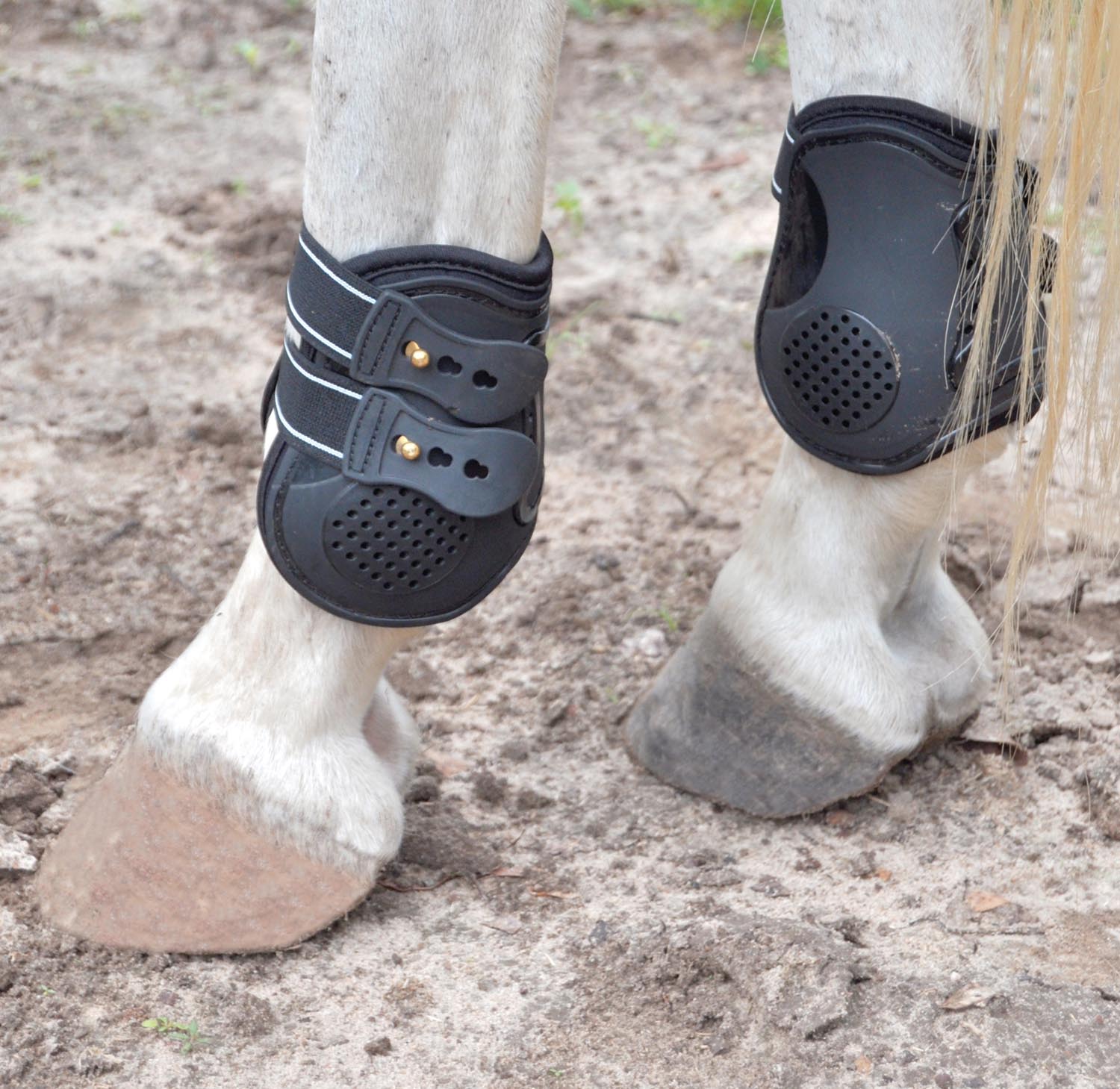 Uniquely English Fetlock Boots for Horses, 2-Pack