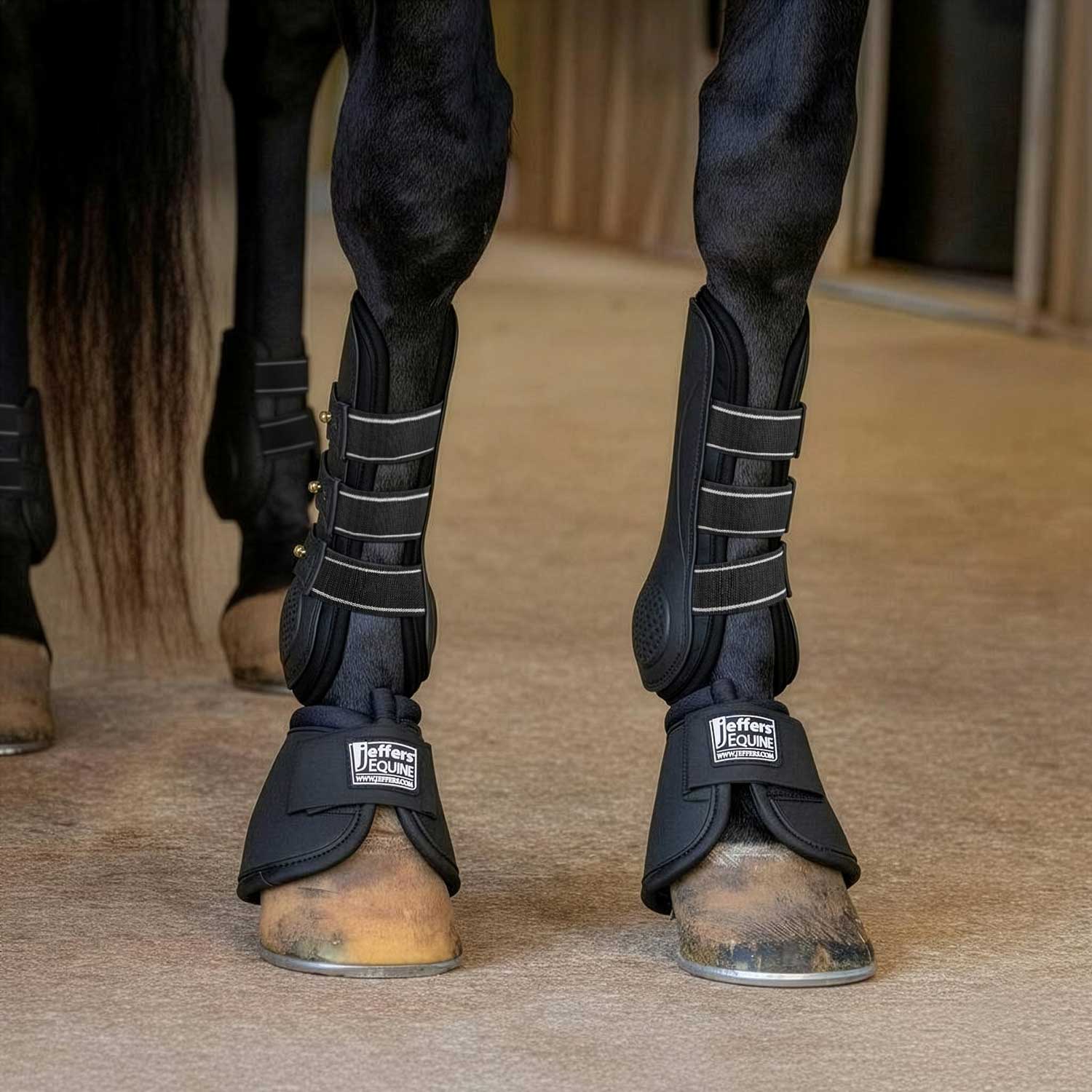 Uniquely English Horse Tendon Boots, 2-Pack