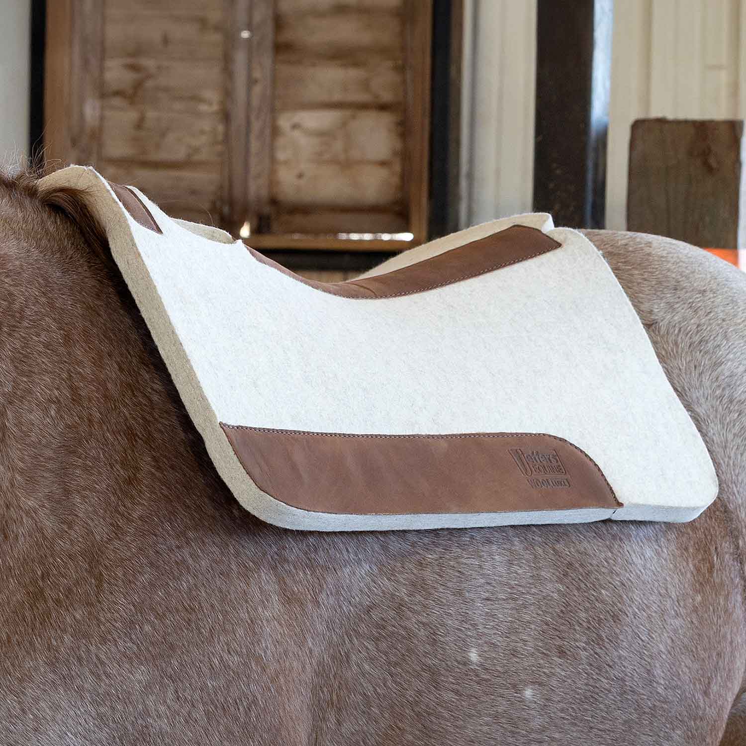 WoolLuxe 100% Wool Equine Saddle Pad – Cushioned, Breathable, and Shock-Absorbing