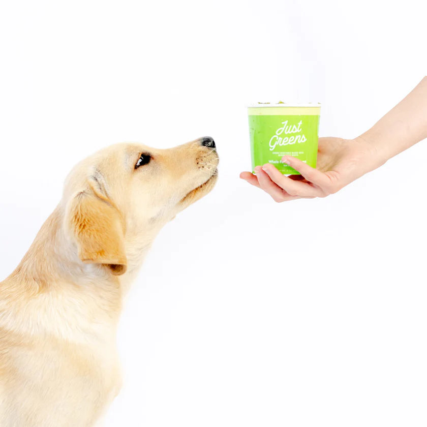 Green Juju Just Greens for Dogs & Cats 30oz