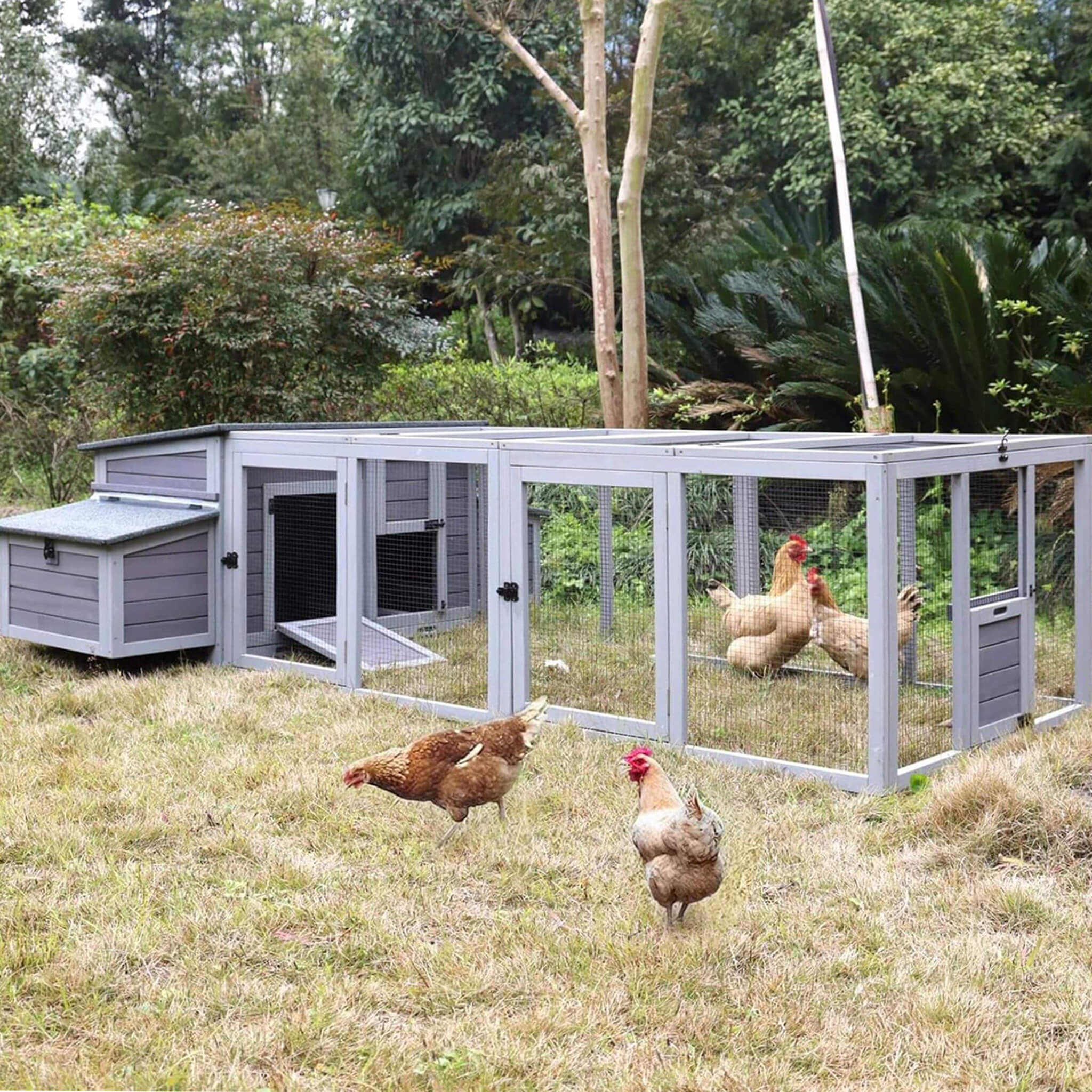 Large 103-Inch Outdoor Chicken Coop House With Run And Nesting Box [4-6 Chickens]