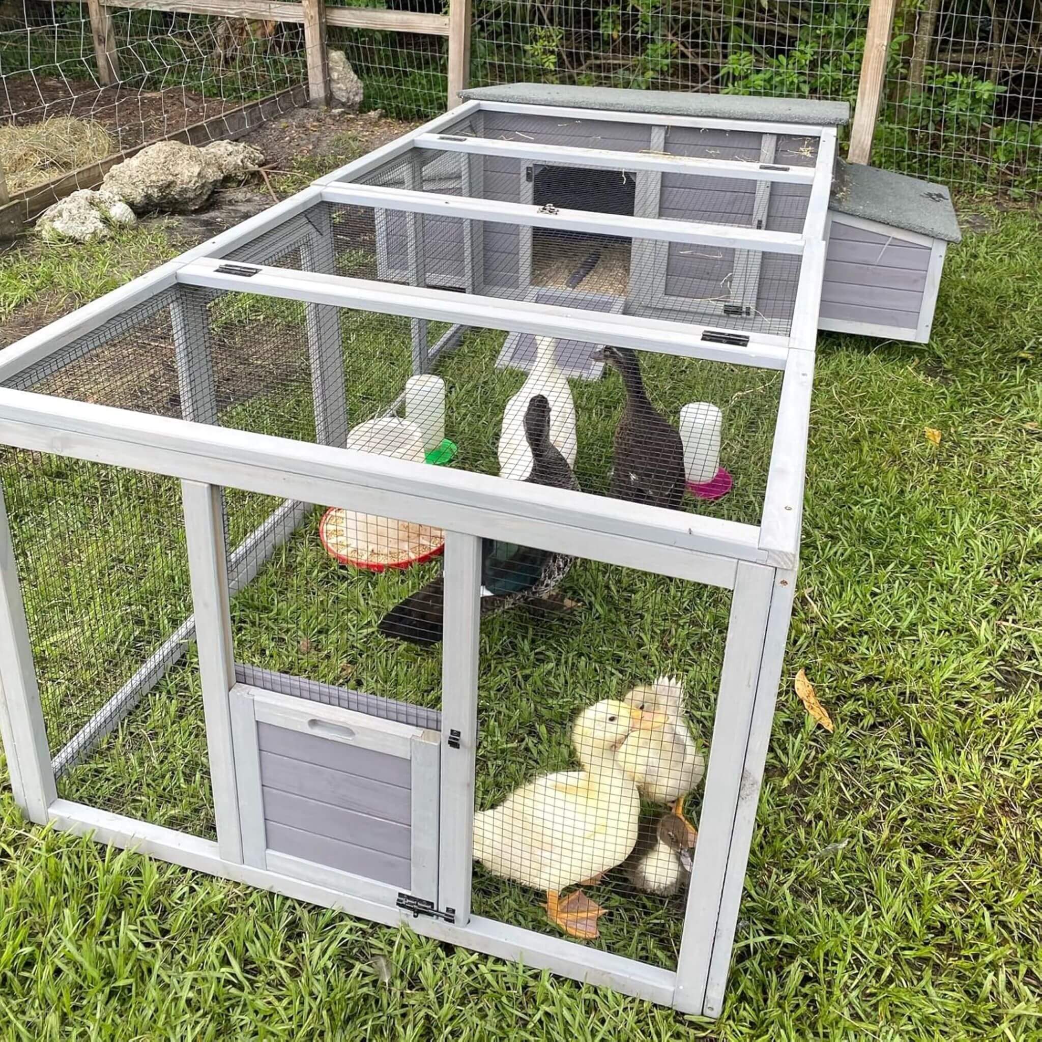 Large 103-Inch Outdoor Chicken Coop House With Run And Nesting Box [4-6 Chickens]