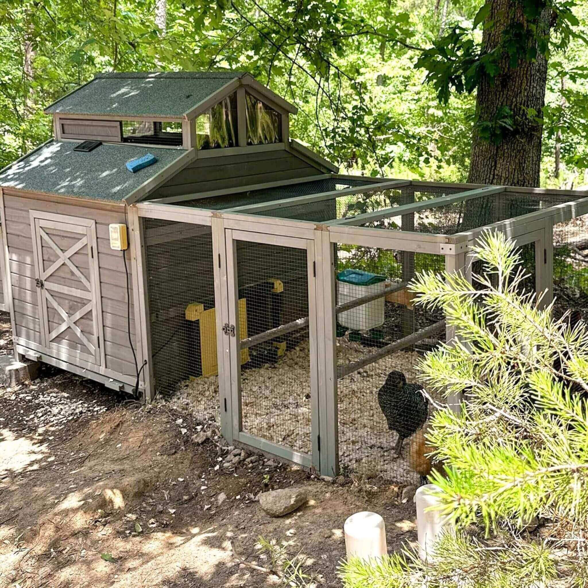 Large 115-Inch Portable Chicken Coop With Run And Nesting Boxes [8-10 Chickens]