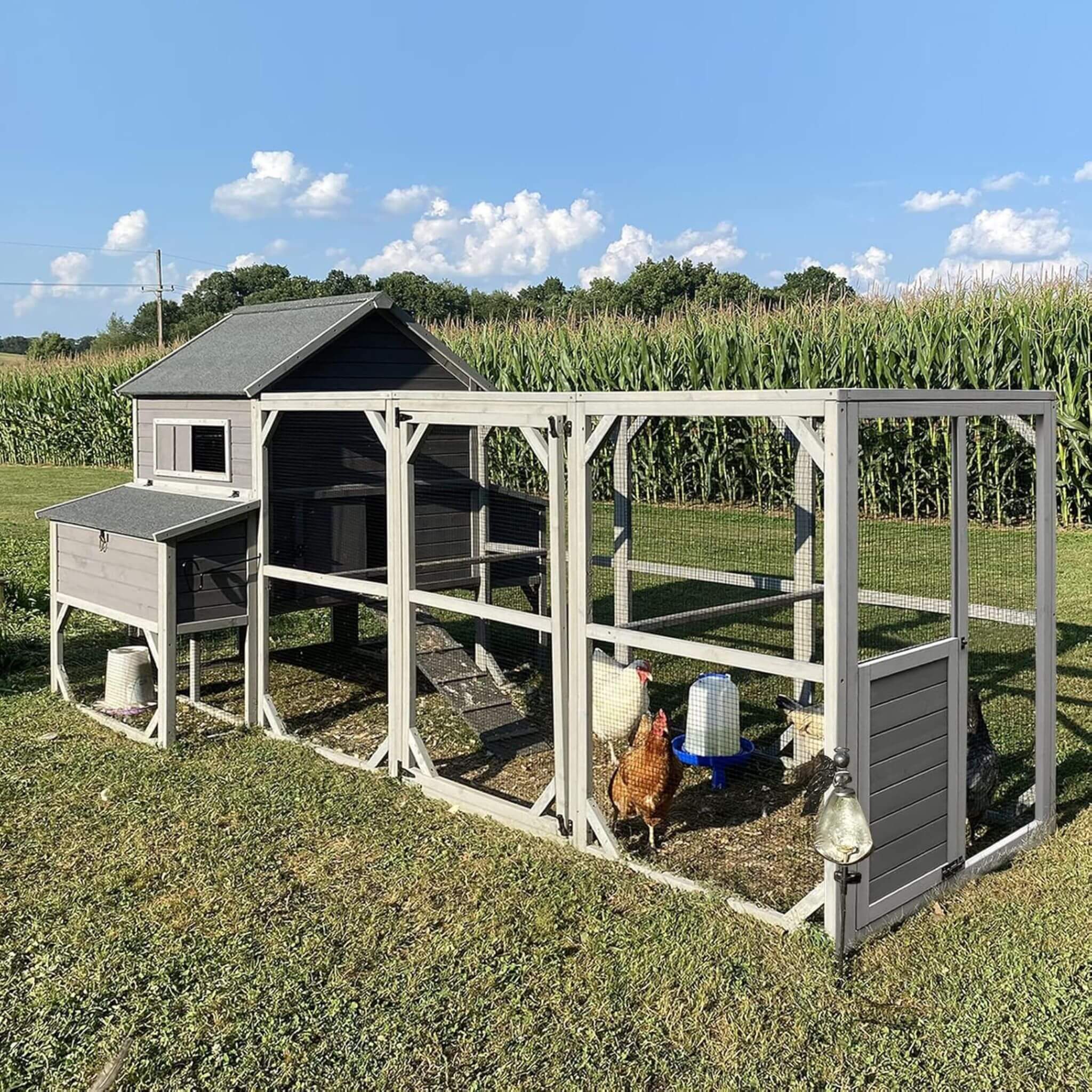 Large 137-Inch Wooden Chicken Coop With Run And 6 Nesting Boxes [10-15 Chickens]