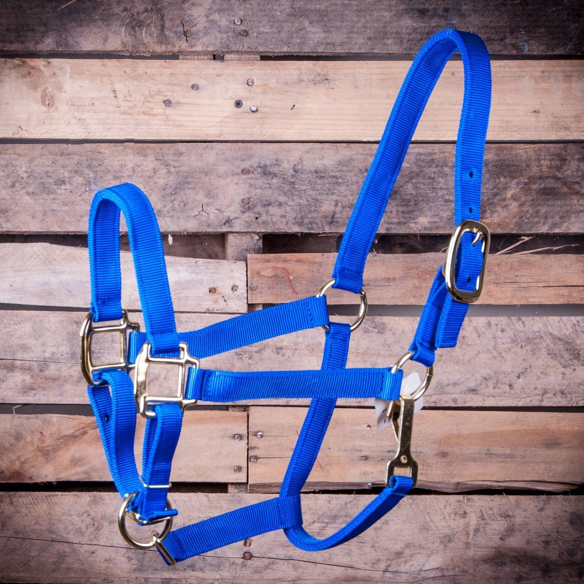 Adjustable Halter with Throat Snap