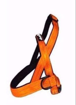 Alcott Medium Neon Orange Norwegian Harness