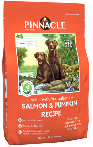 BCH DRY PN Salmon & Pumpkin 22