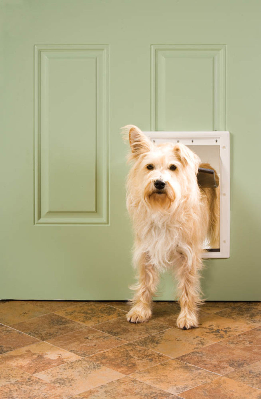 PET DOOR PLASTIC PREM WHT MED