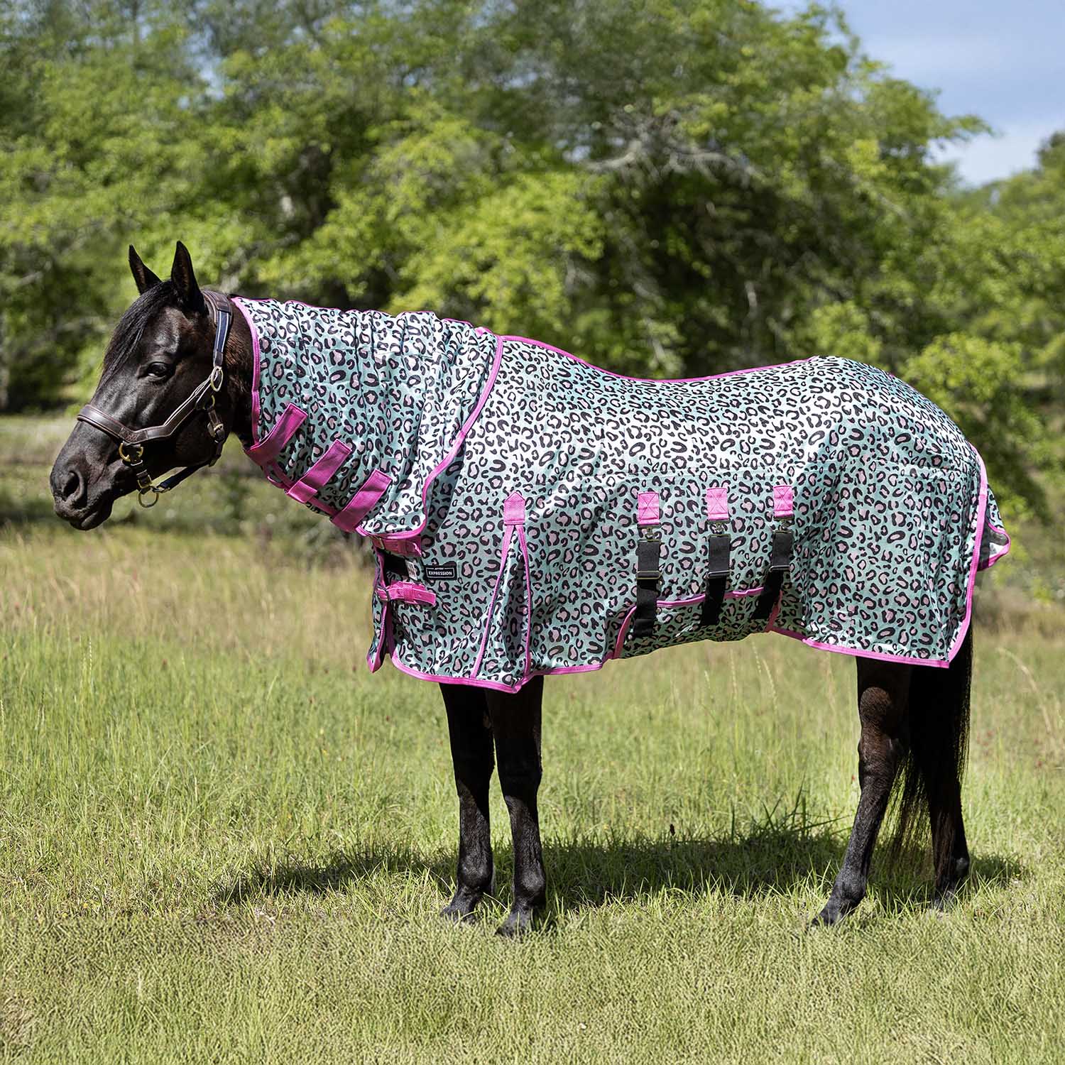 Expression Softmesh Combo Neck Horse Fly Sheet