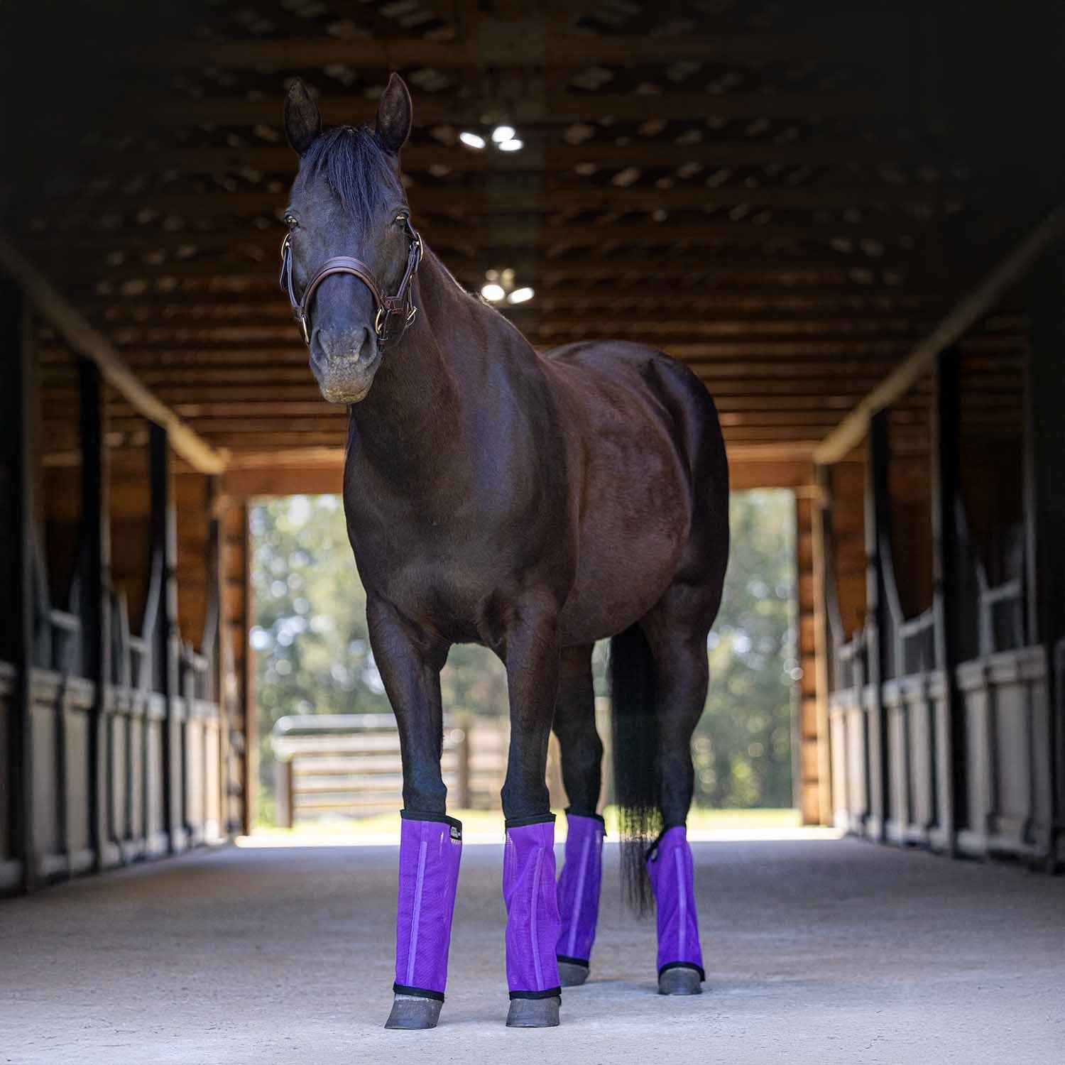 Romper Stomper "Stomp-Free" Fly Boots for Horses, 4 pack
