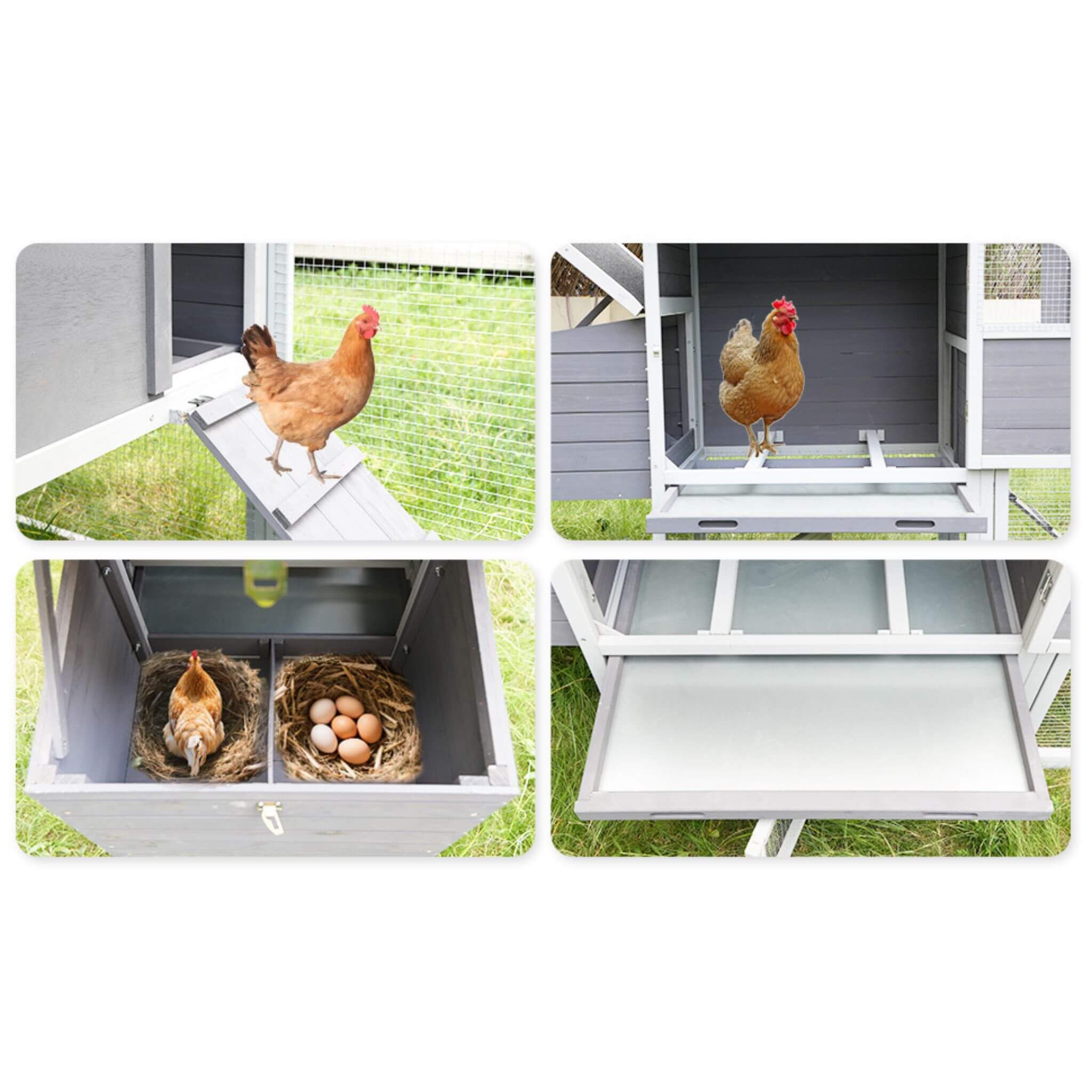 Large Heavy-Duty 113-Inch Outdoor Anti-UV Waterproof Wooden Chicken Coop Hen House