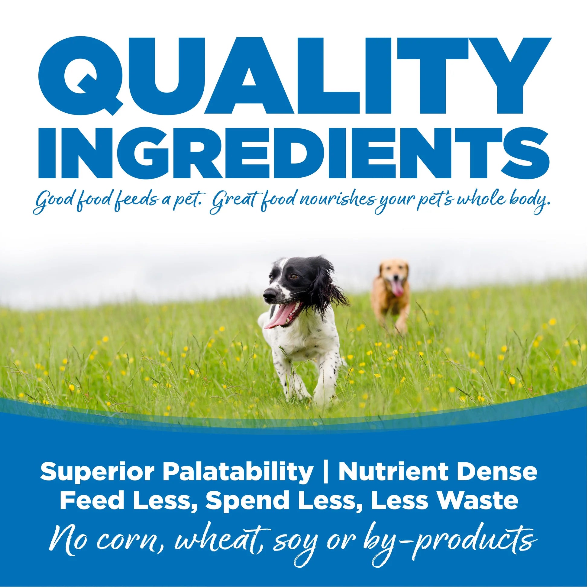 NutriSource Large Breed Chicken & Rice Recipe Dry Dog Food 26lb
