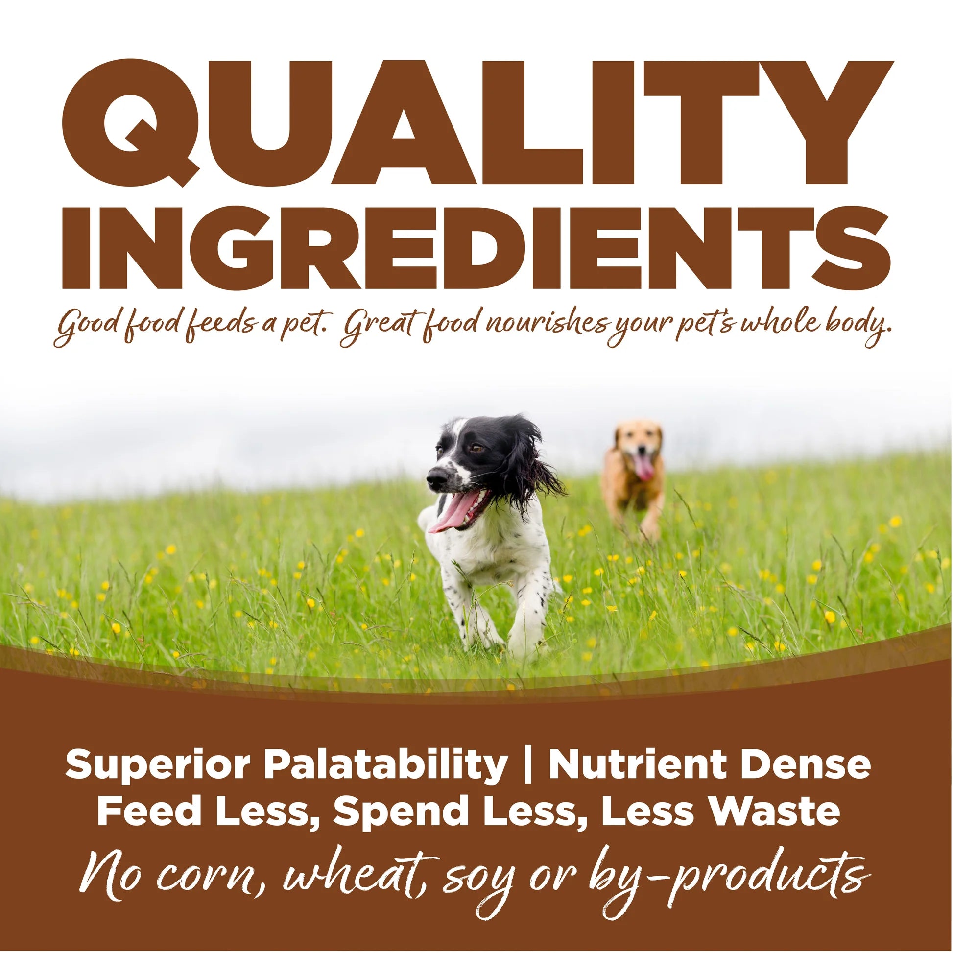 NutriSource Large Breed Adult Lamb Meal & Rice 30lb