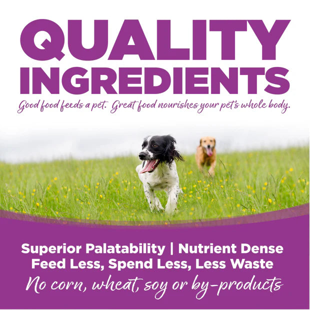 Nutri Source Chicken and Rice Recipe Large Breed Puppy 26lb