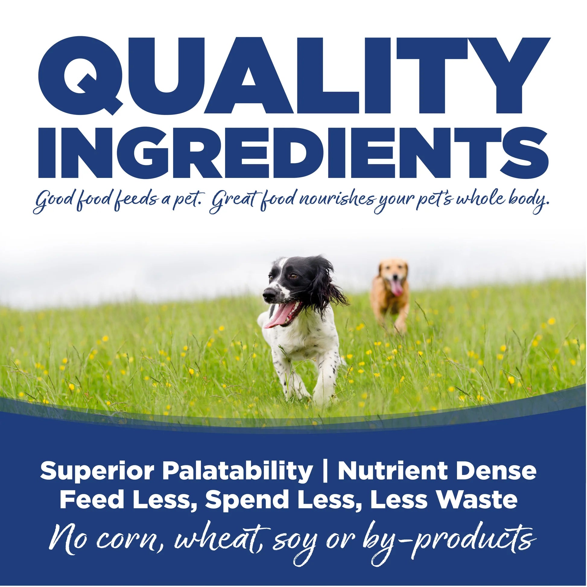 NutriSource Trout & Rice Recipe Dry Dog Food 26lb