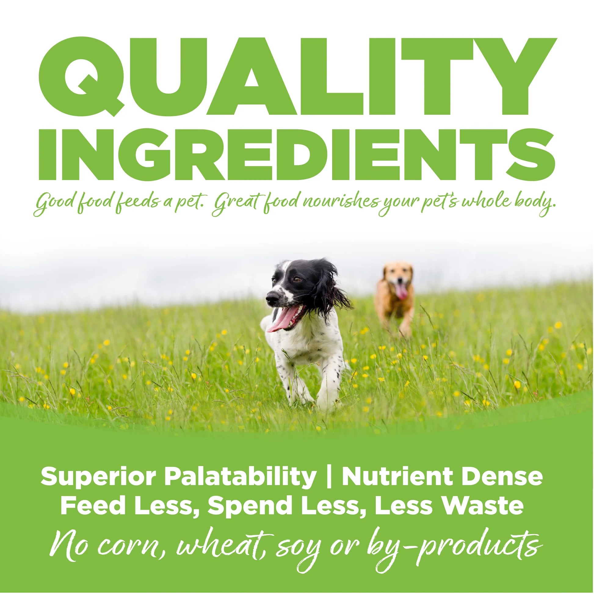 NutriSource Weight Management Chicken & Rice Recipe Dry Dog Food 5lb