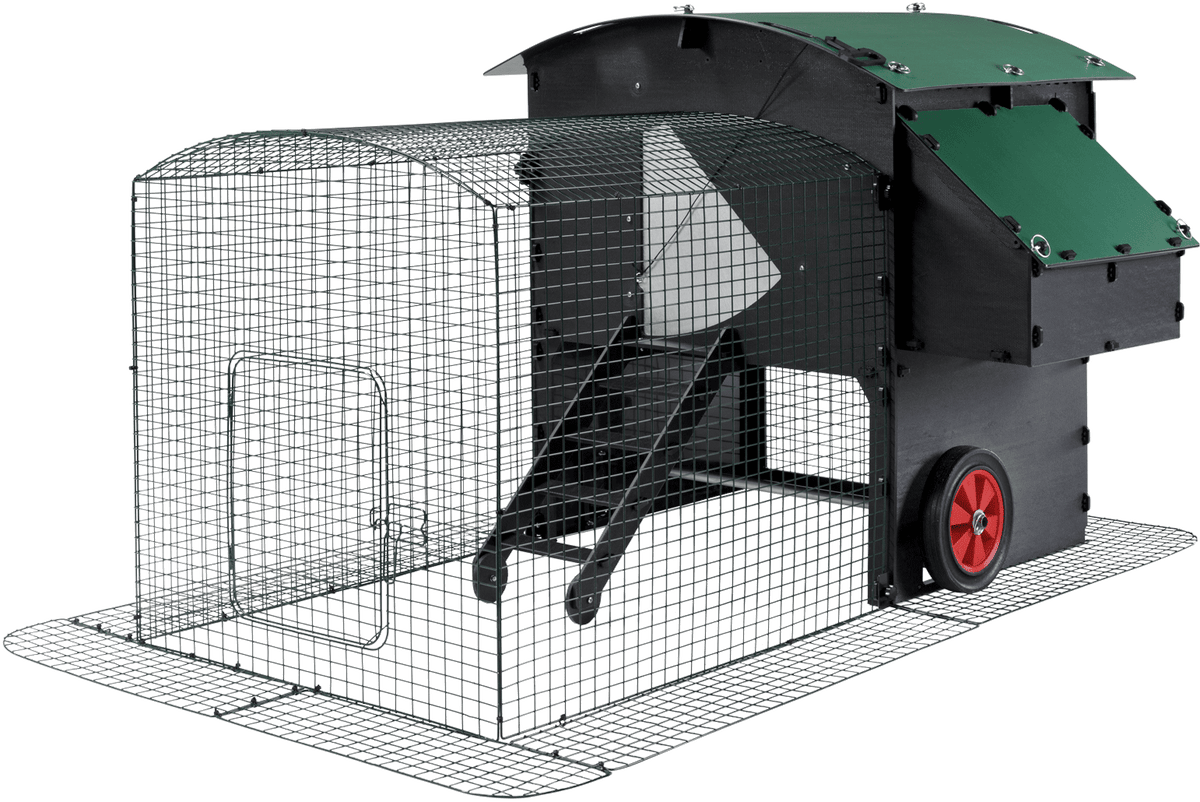 Chicken Coop